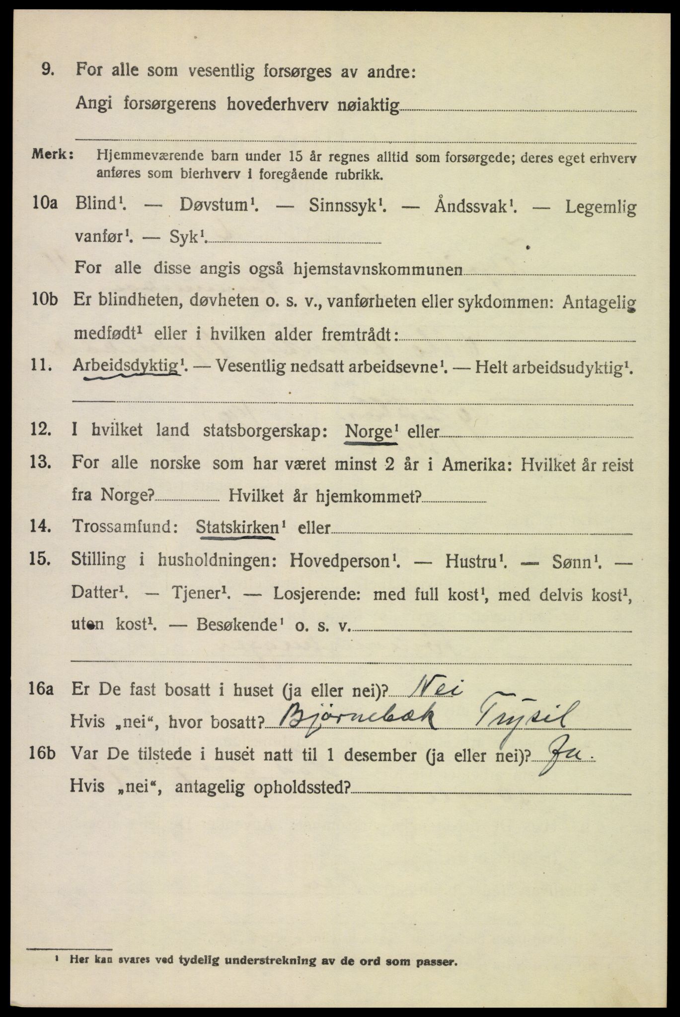 SAH, 1920 census for Trysil, 1920, p. 7074