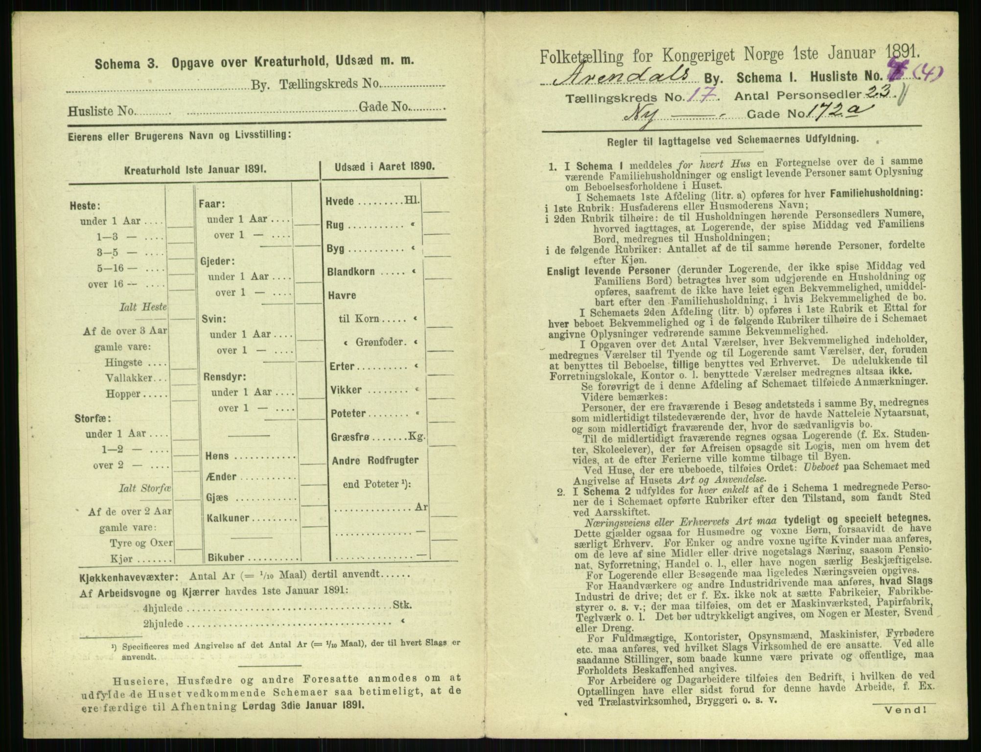 RA, 1891 census for 0903 Arendal, 1891, p. 908