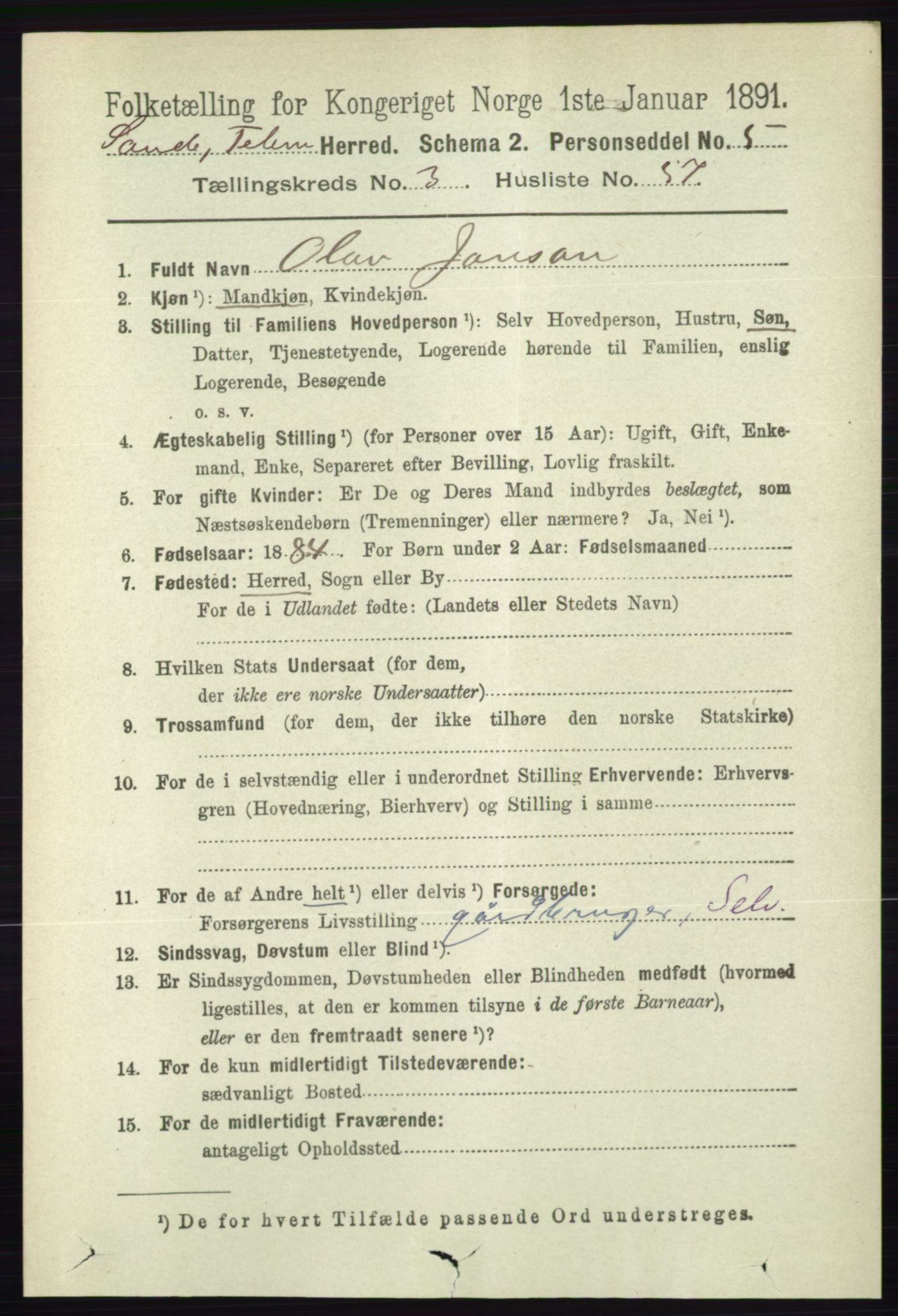 RA, 1891 census for 0822 Sauherad, 1891, p. 1041