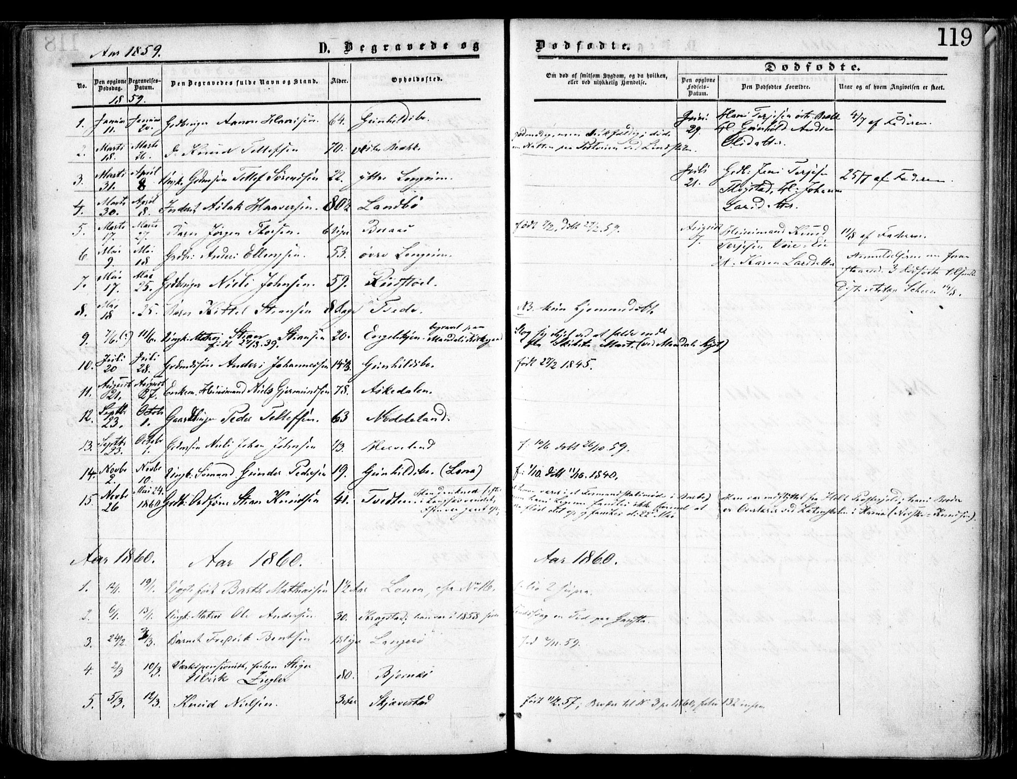 Austre Moland sokneprestkontor, SAK/1111-0001/F/Fa/Faa/L0008: Parish register (official) no. A 8, 1858-1868, p. 119