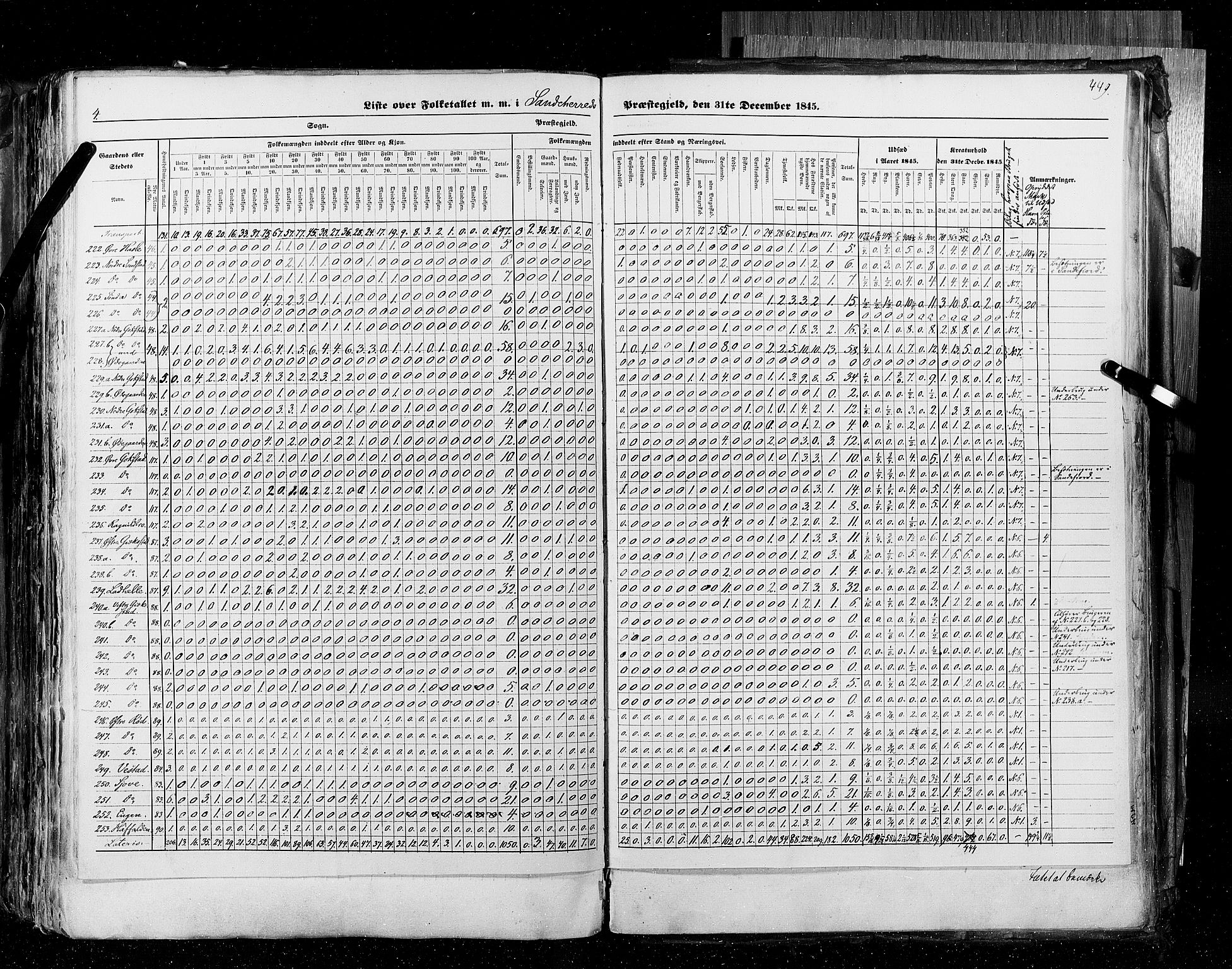 RA, Census 1845, vol. 4: Buskerud amt og Jarlsberg og Larvik amt, 1845, p. 449