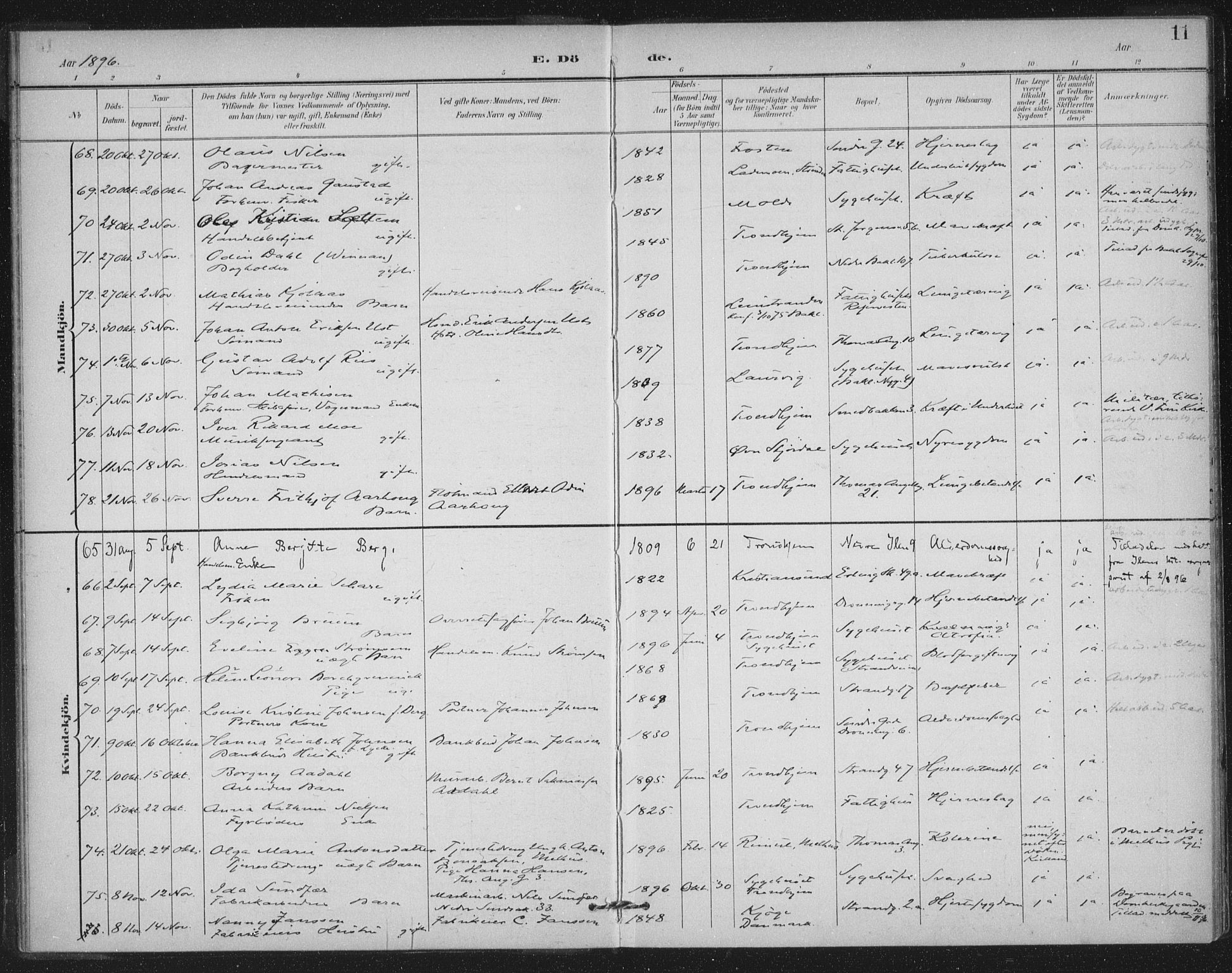 Ministerialprotokoller, klokkerbøker og fødselsregistre - Sør-Trøndelag, AV/SAT-A-1456/602/L0123: Parish register (official) no. 602A21, 1895-1910, p. 11