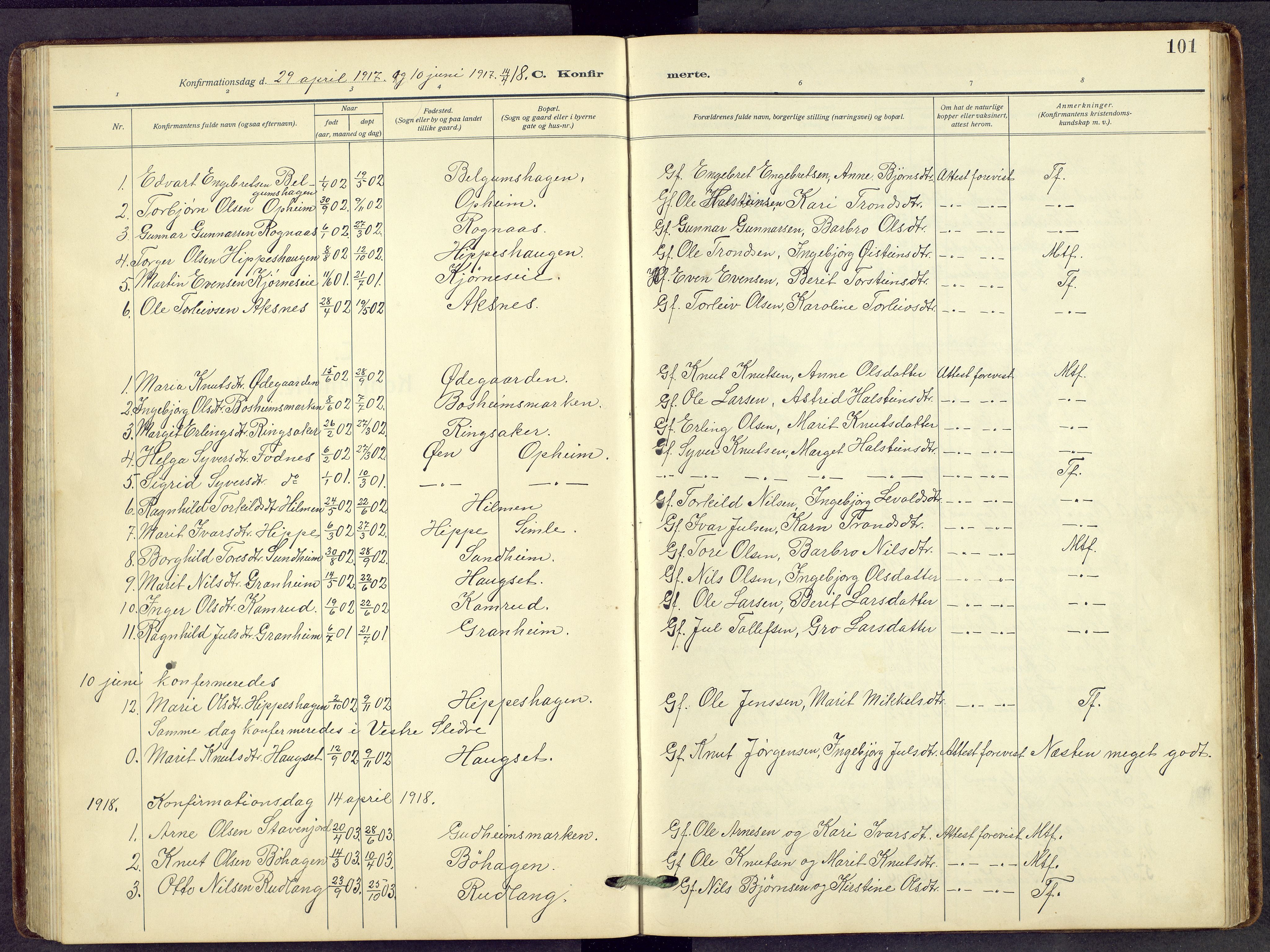 Nord-Aurdal prestekontor, AV/SAH-PREST-132/H/Ha/Hab/L0014: Parish register (copy) no. 14, 1917-1953, p. 101