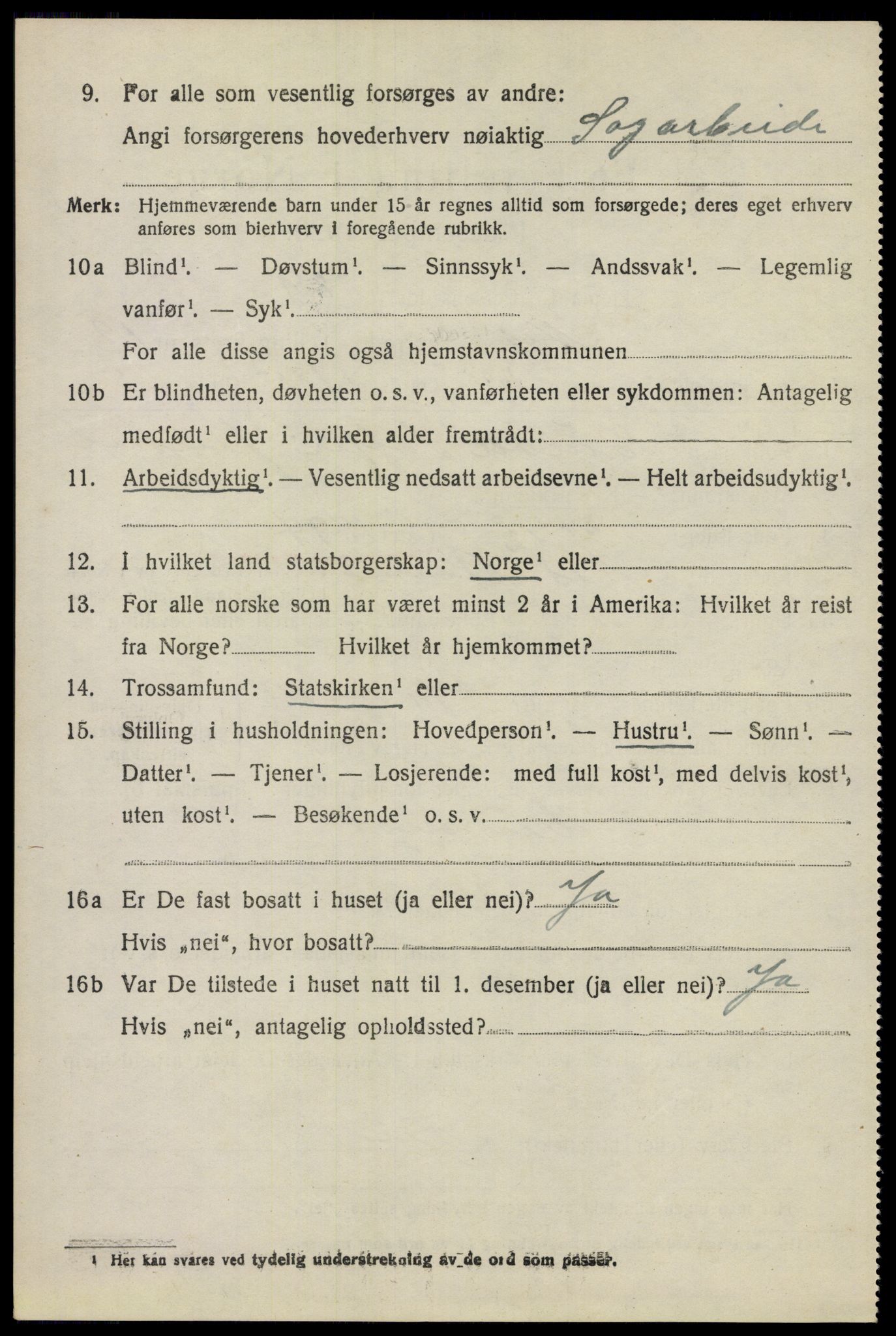 SAO, 1920 census for Nes, 1920, p. 20341