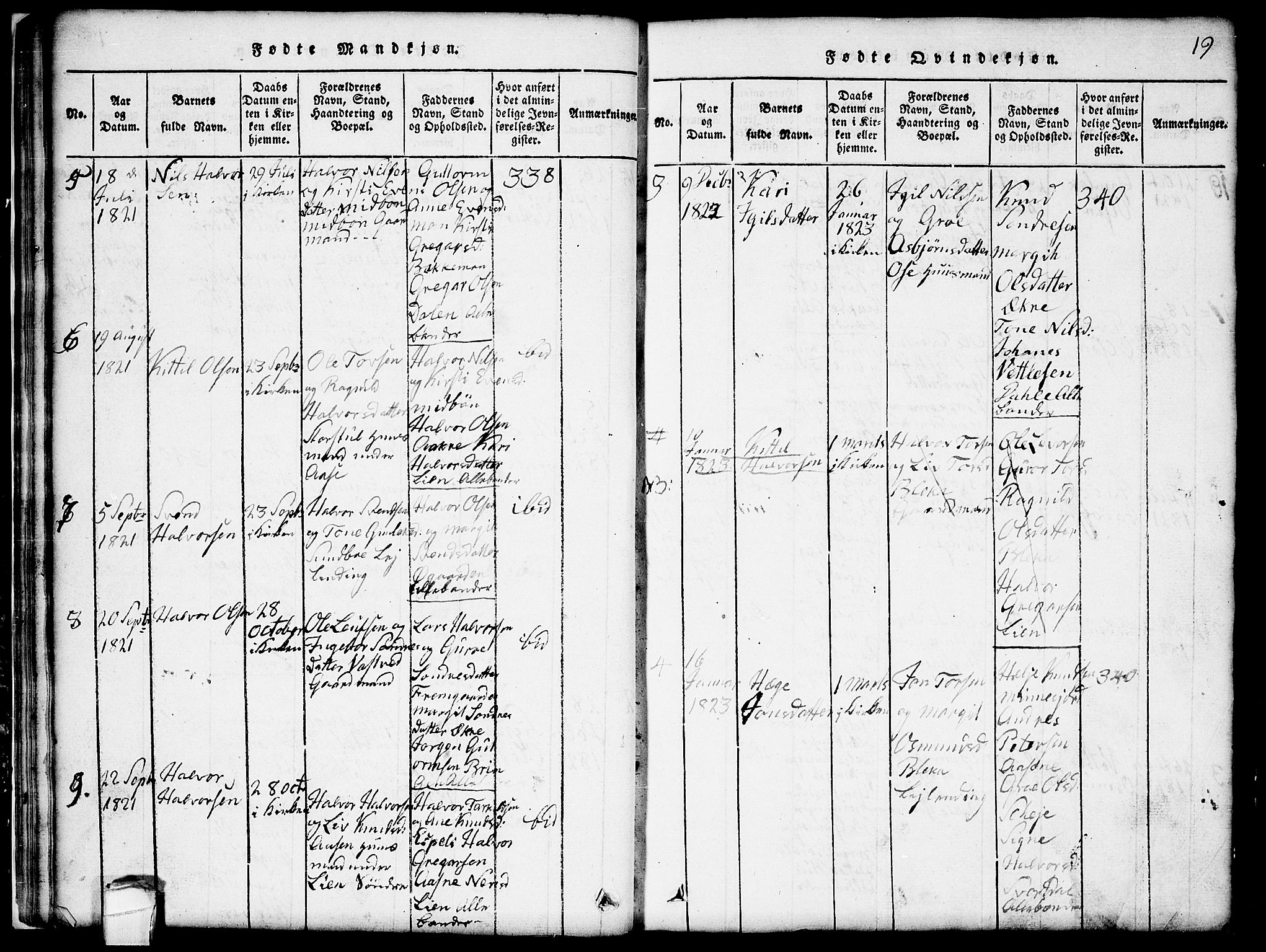 Seljord kirkebøker, SAKO/A-20/G/Gb/L0002: Parish register (copy) no. II 2, 1815-1854, p. 19