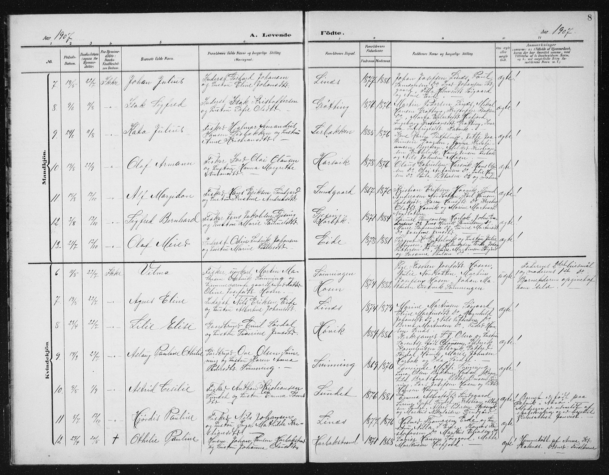 Ministerialprotokoller, klokkerbøker og fødselsregistre - Sør-Trøndelag, SAT/A-1456/656/L0699: Parish register (copy) no. 656C05, 1905-1920, p. 8