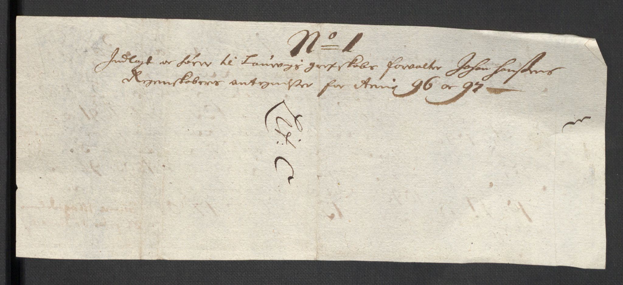 Rentekammeret inntil 1814, Reviderte regnskaper, Fogderegnskap, AV/RA-EA-4092/R33/L1975: Fogderegnskap Larvik grevskap, 1696-1697, p. 245