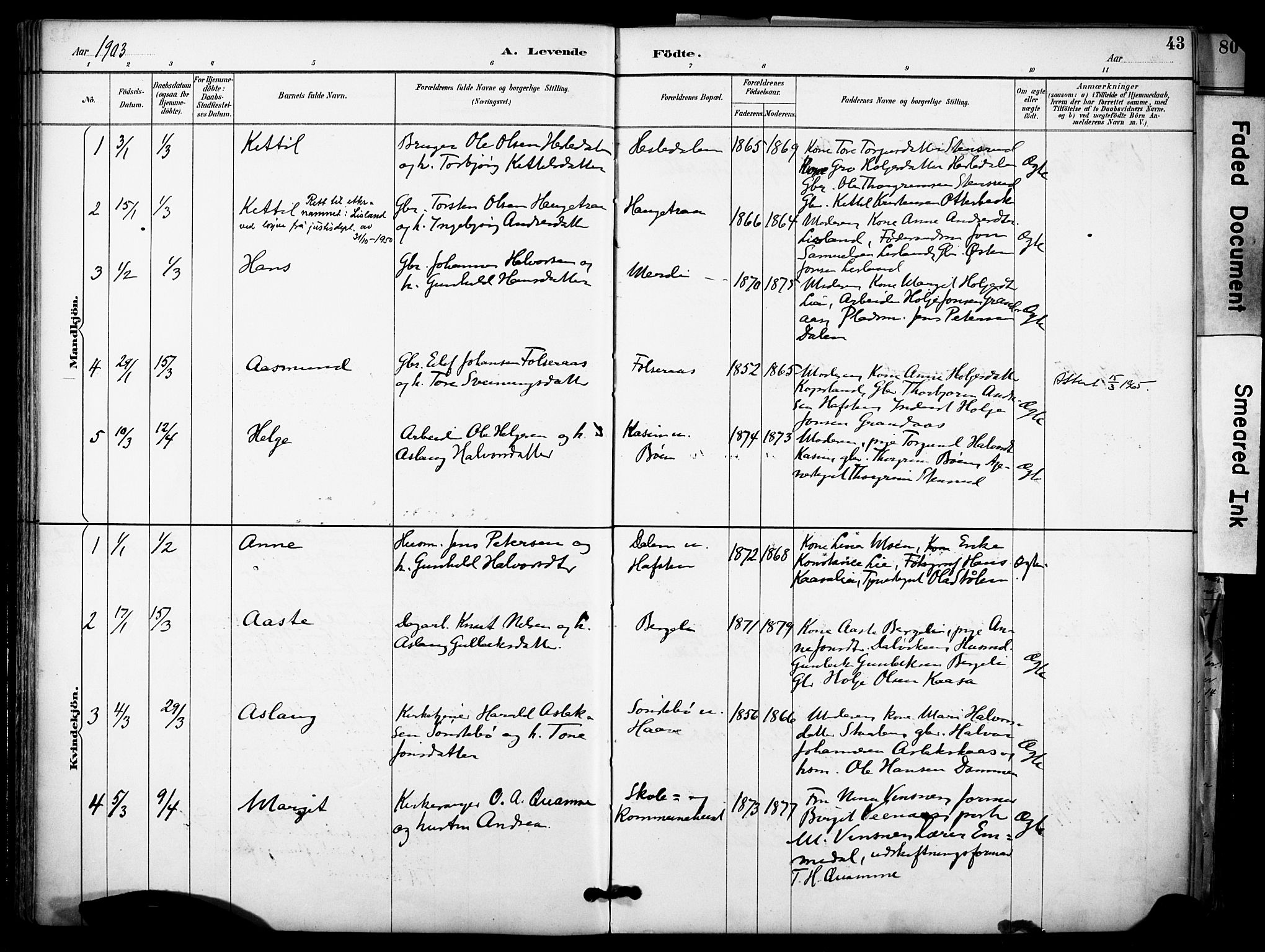 Gransherad kirkebøker, AV/SAKO-A-267/F/Fa/L0005: Parish register (official) no. I 5, 1887-1916, p. 43