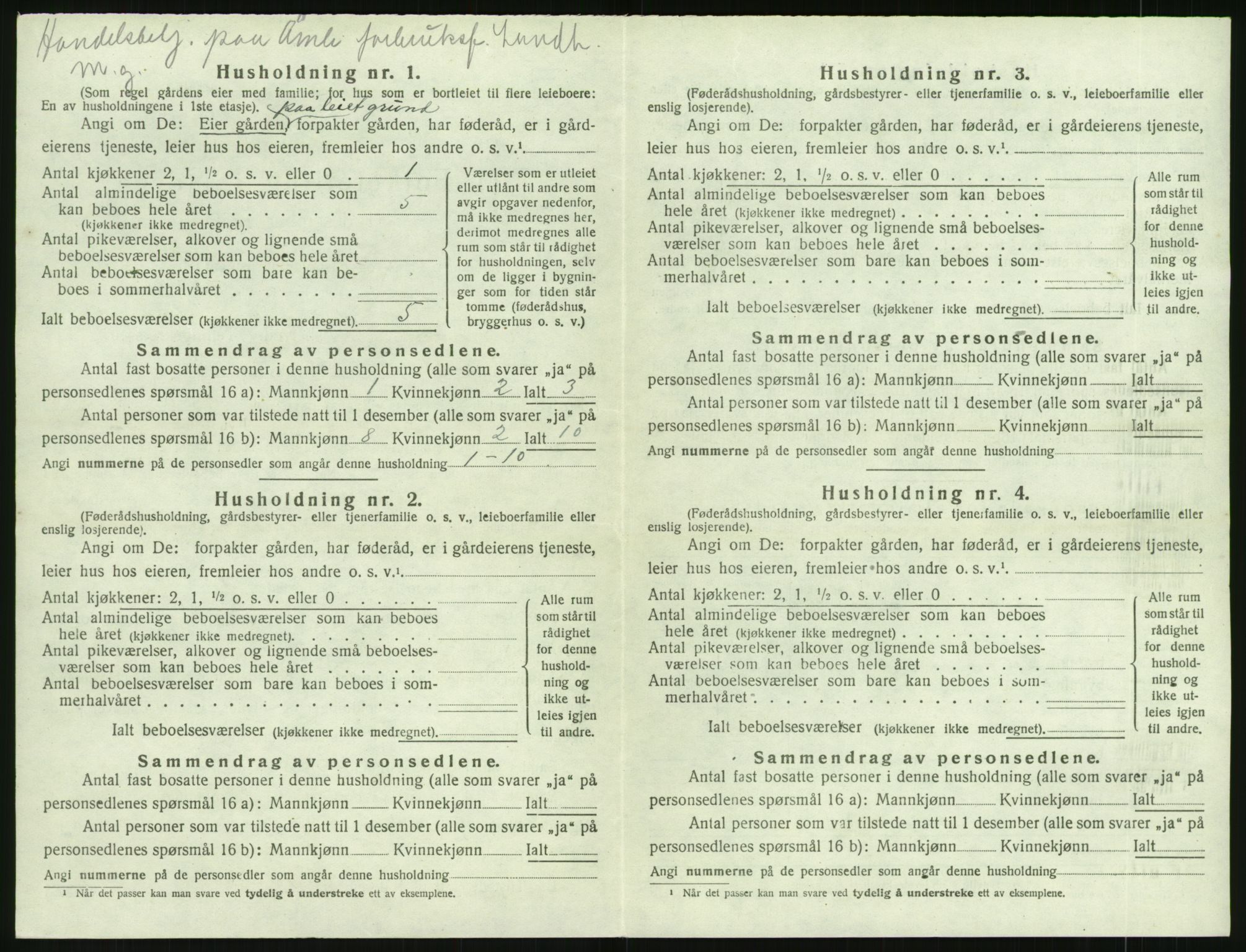 SAK, 1920 census for Åmli, 1920, p. 244