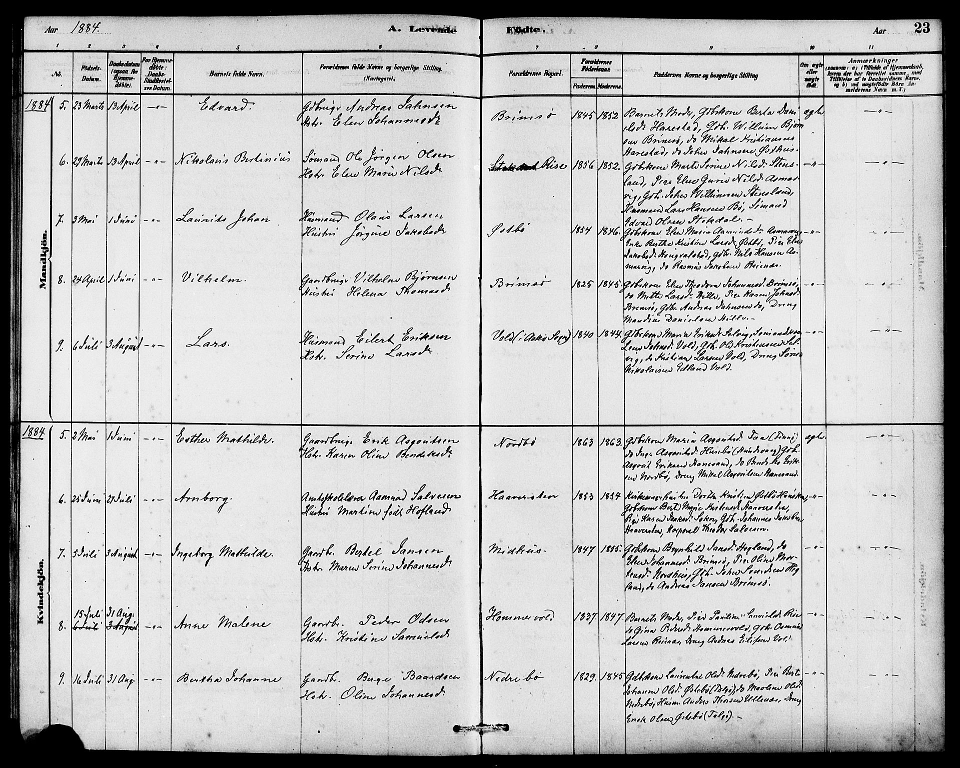 Rennesøy sokneprestkontor, AV/SAST-A -101827/H/Ha/Haa/L0007: Parish register (official) no. A 7, 1878-1884, p. 23