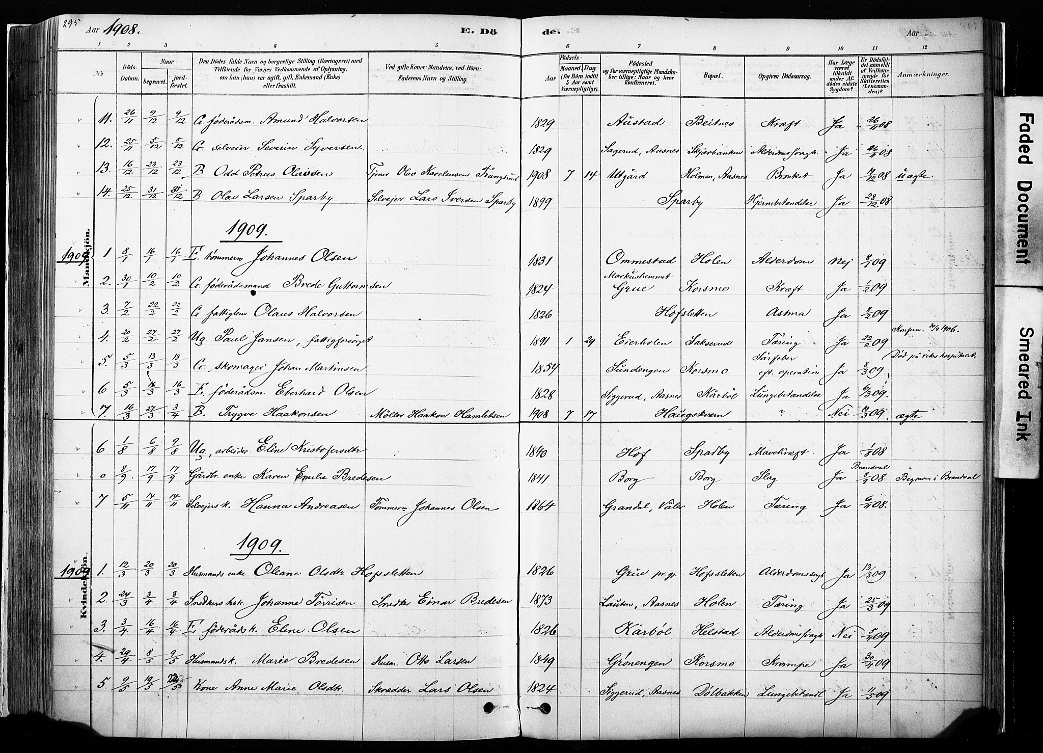 Hof prestekontor, SAH/PREST-038/H/Ha/Haa/L0010: Parish register (official) no. 10, 1878-1909, p. 295