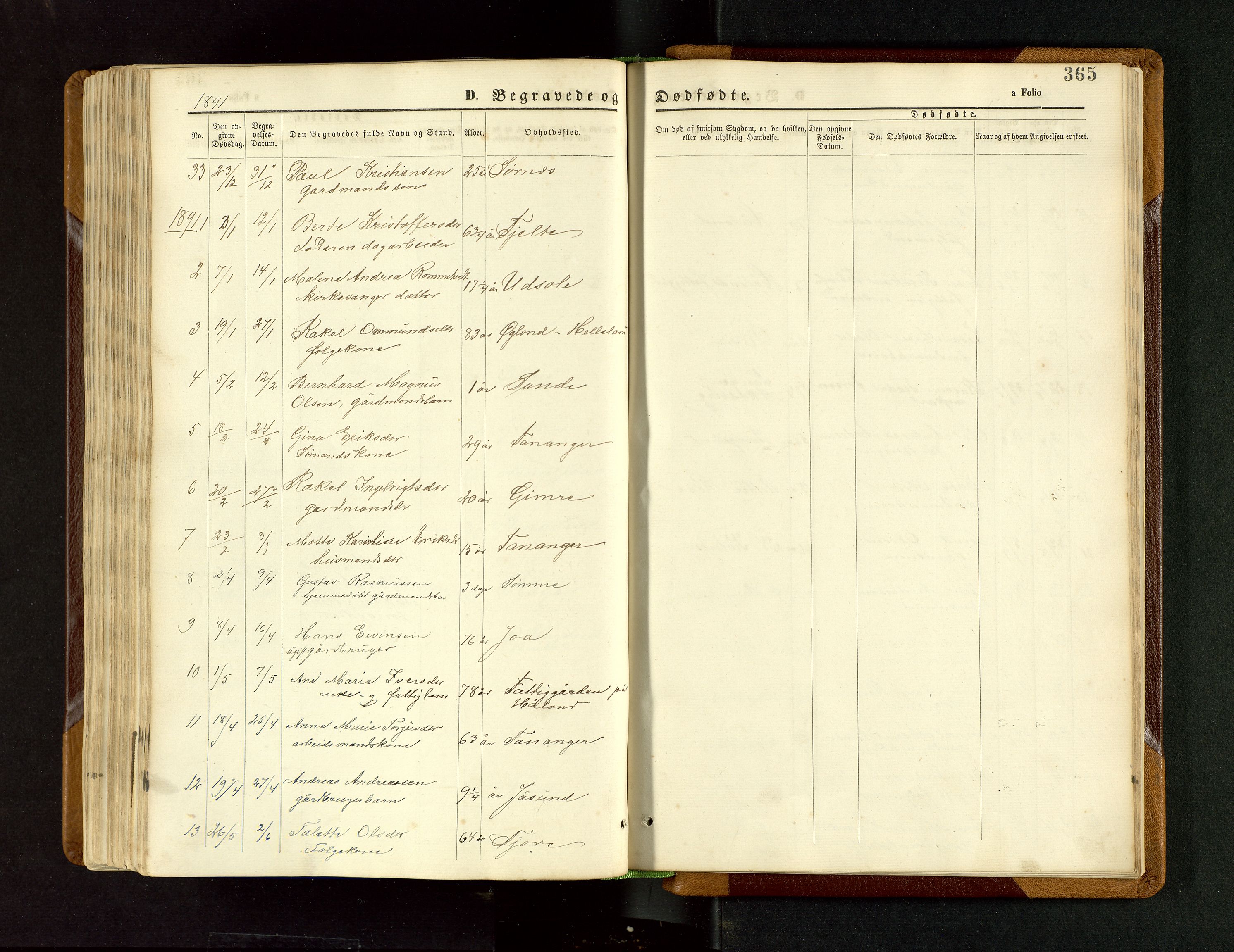 Håland sokneprestkontor, SAST/A-101802/001/30BB/L0003: Parish register (copy) no. B 3, 1873-1893, p. 365