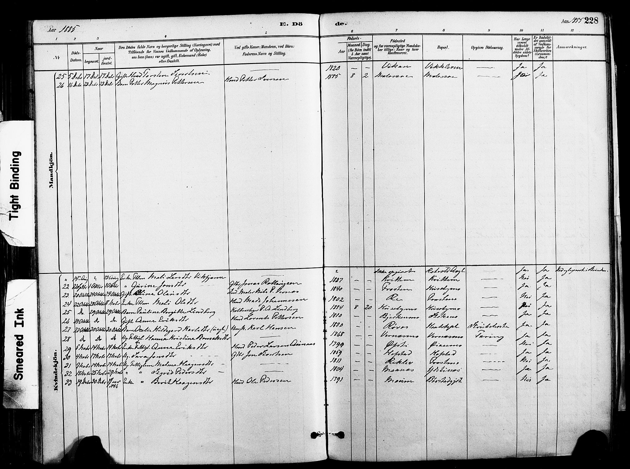 Ministerialprotokoller, klokkerbøker og fødselsregistre - Nord-Trøndelag, SAT/A-1458/709/L0077: Parish register (official) no. 709A17, 1880-1895, p. 228