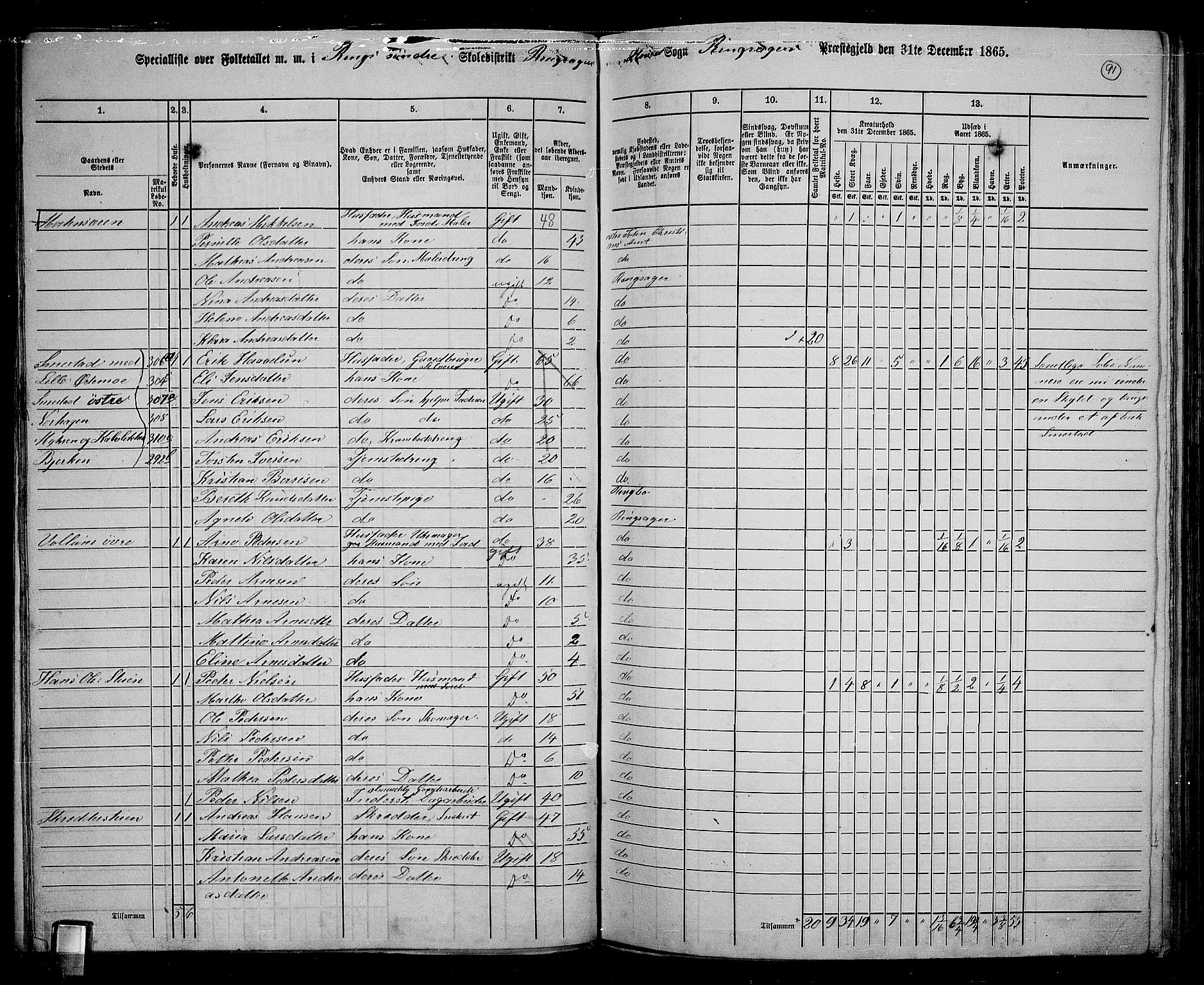 RA, 1865 census for Ringsaker, 1865, p. 340