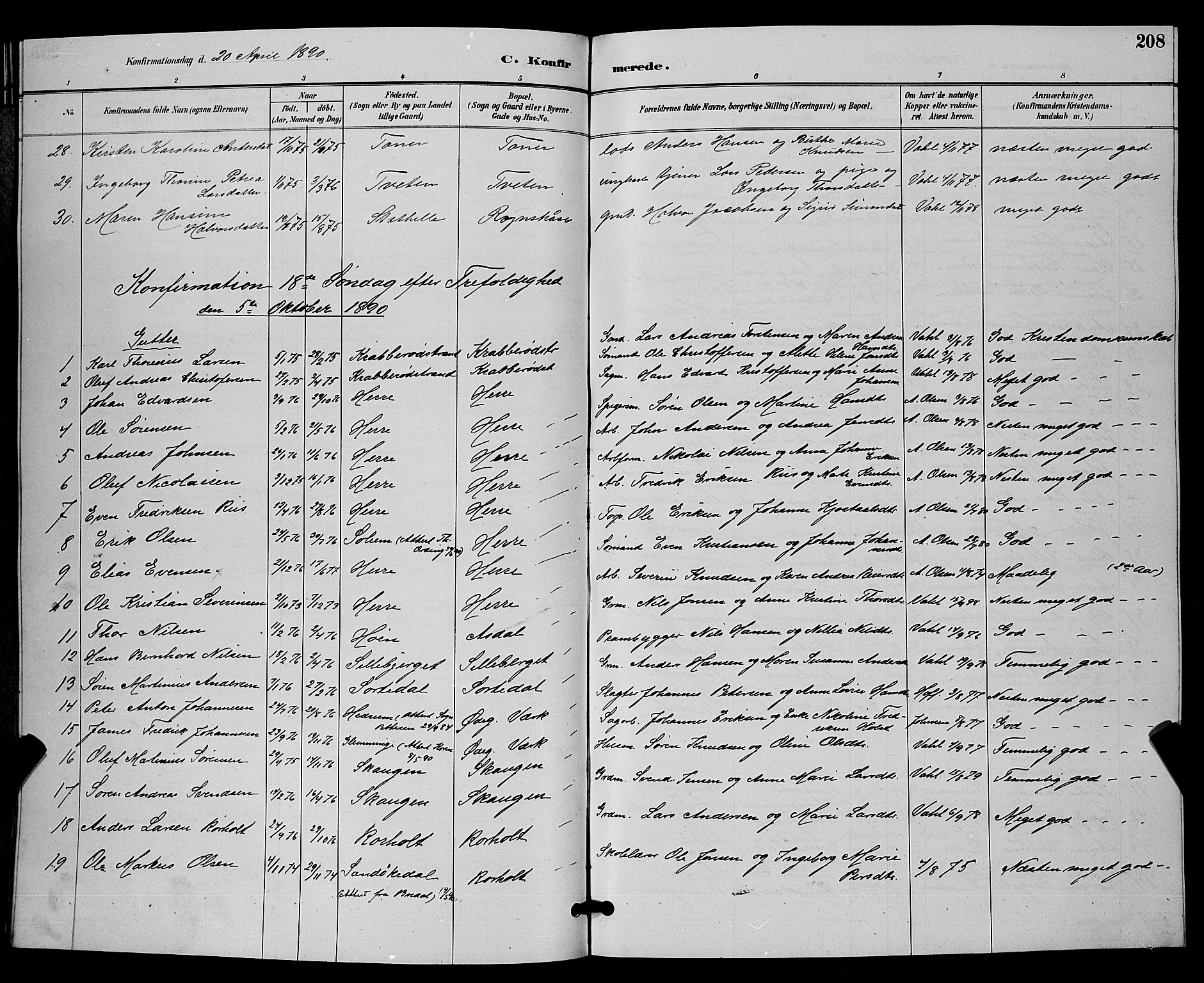 Bamble kirkebøker, AV/SAKO-A-253/G/Ga/L0009: Parish register (copy) no. I 9, 1888-1900, p. 208