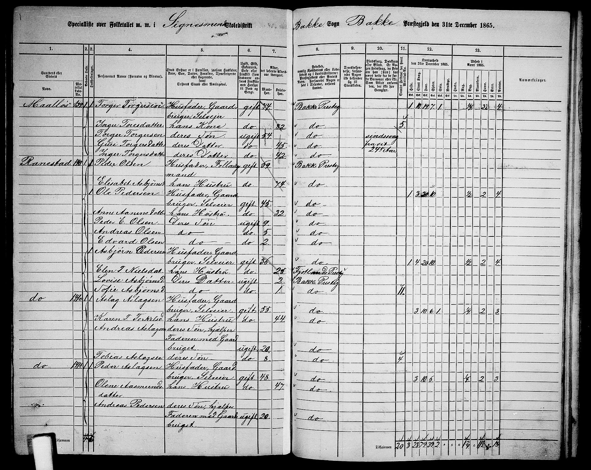 RA, 1865 census for Bakke, 1865, p. 92