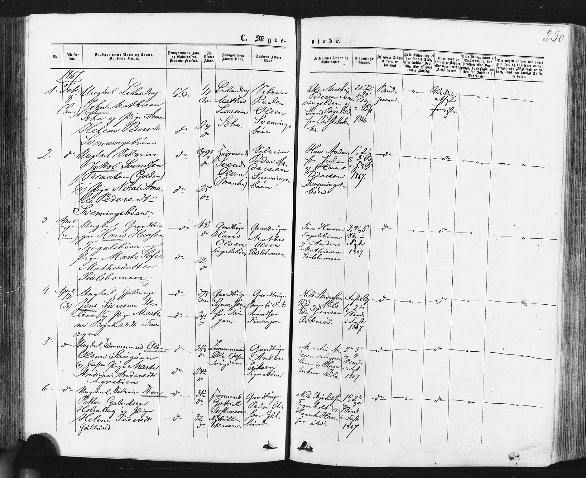 Idd prestekontor Kirkebøker, SAO/A-10911/F/Fc/L0005: Parish register (official) no. III 5, 1861-1877, p. 250