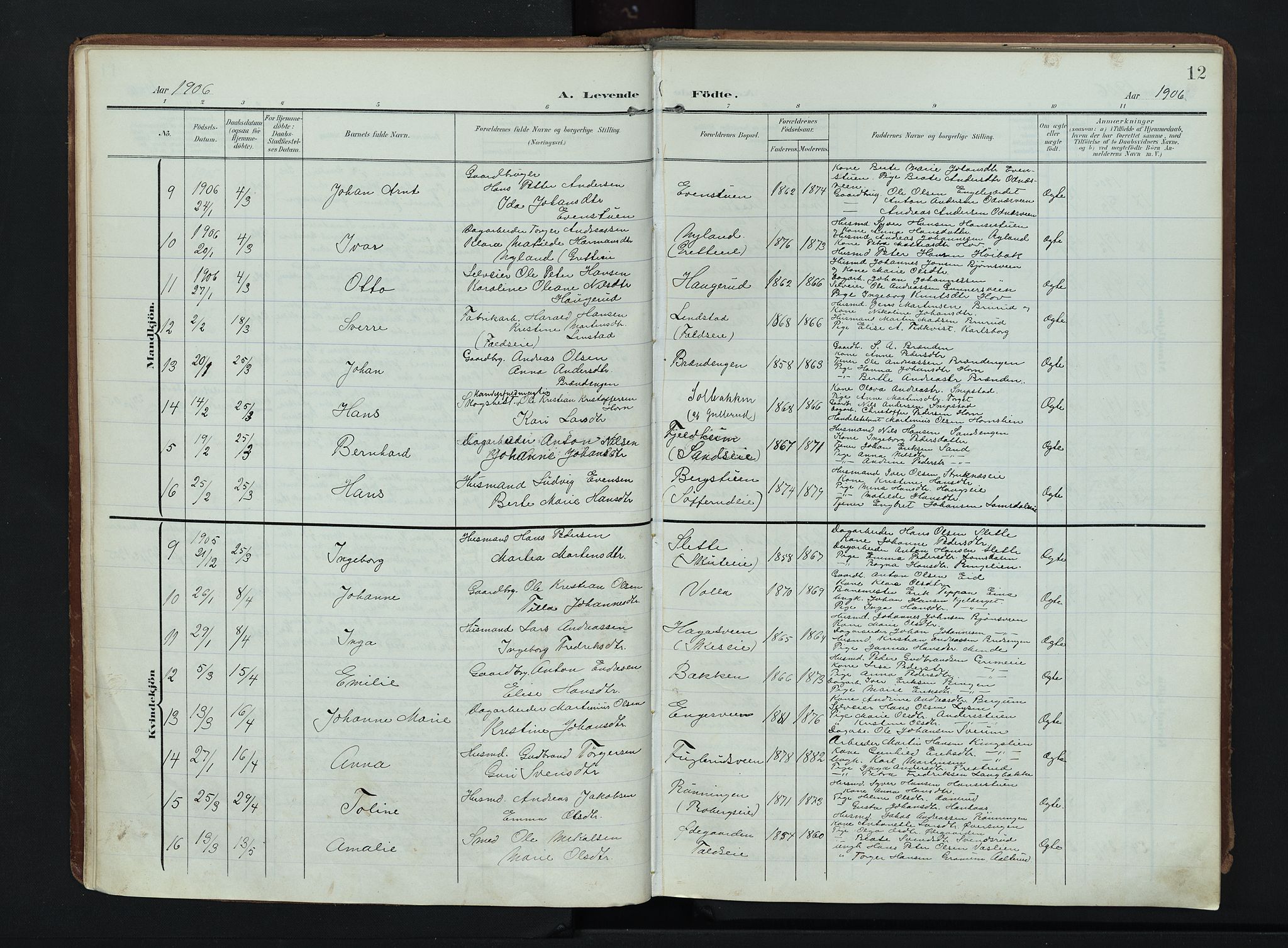 Søndre Land prestekontor, AV/SAH-PREST-122/K/L0007: Parish register (official) no. 7, 1905-1914, p. 12