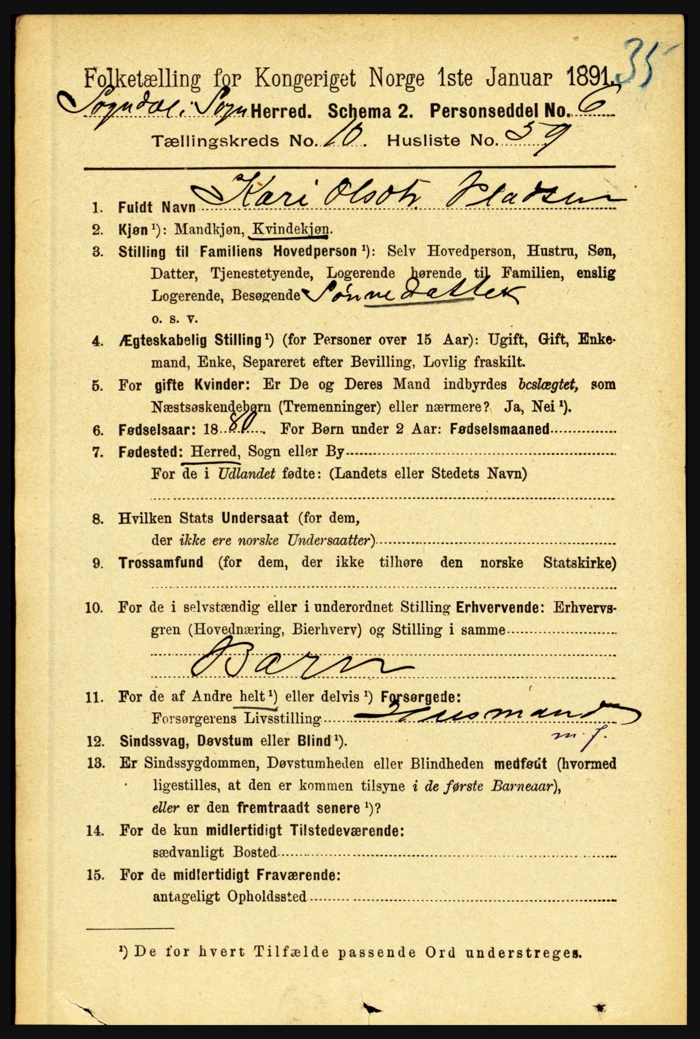 RA, 1891 census for 1420 Sogndal, 1891, p. 4317