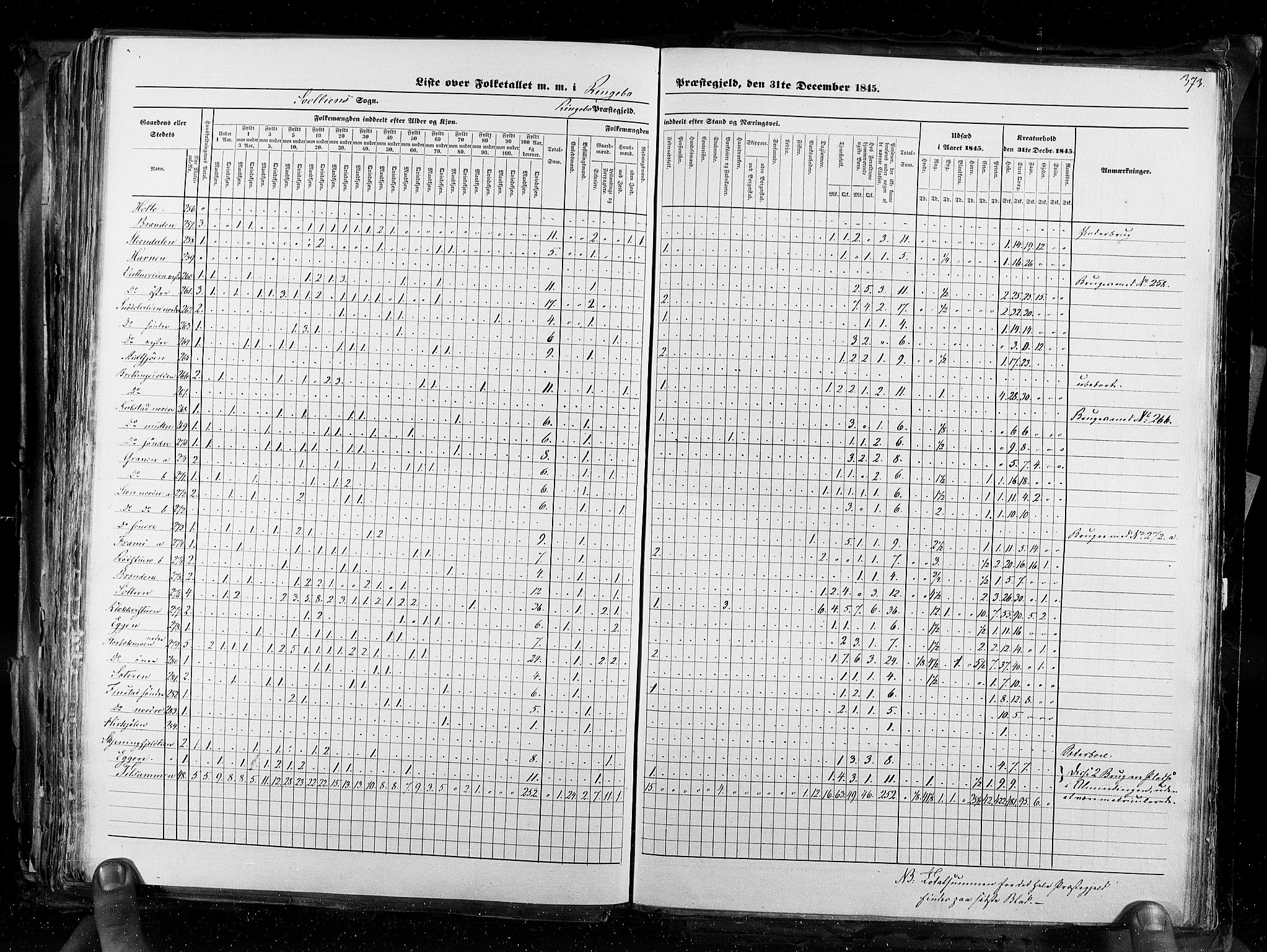 RA, Census 1845, vol. 3: Hedemarken amt og Kristians amt, 1845, p. 373