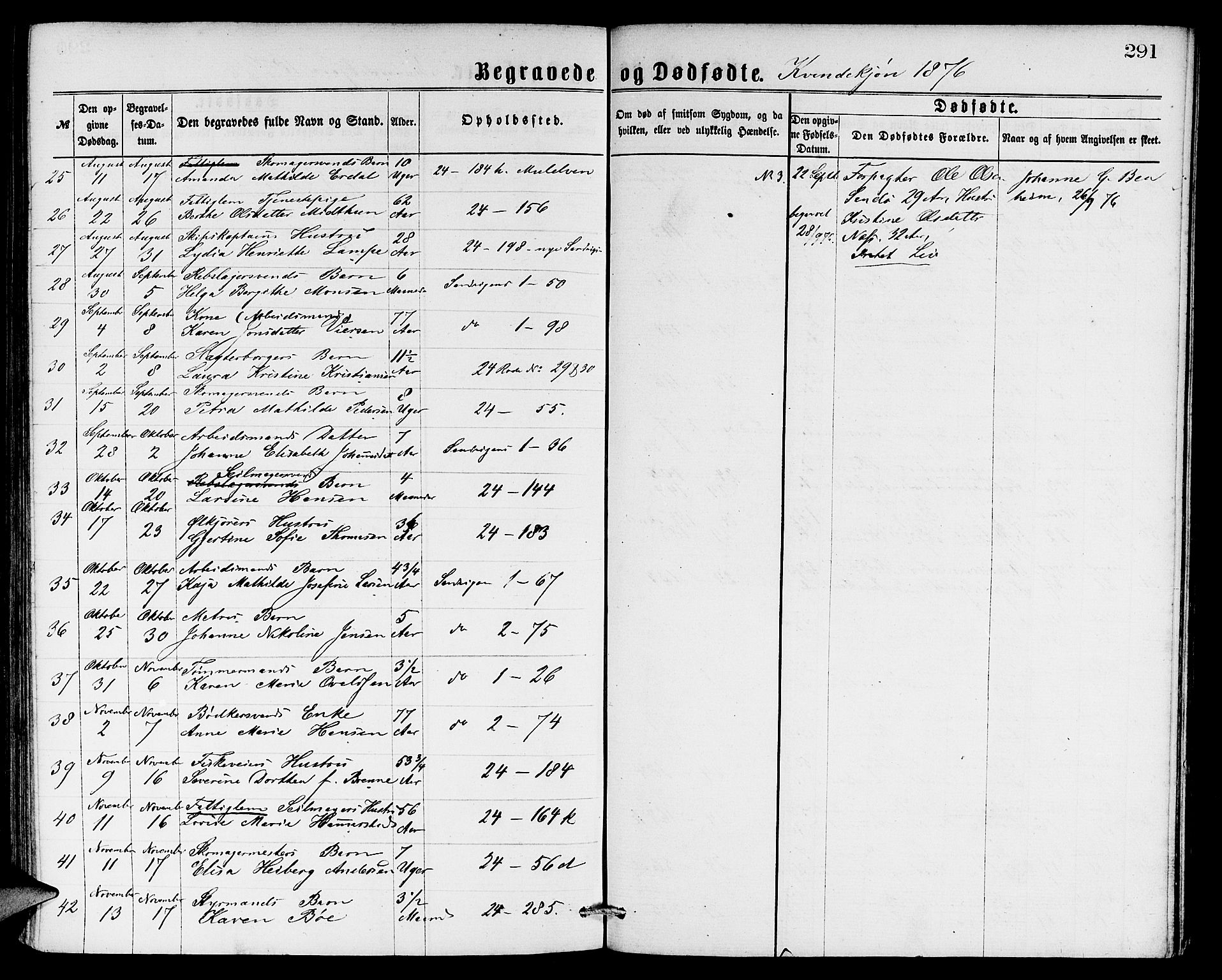 Sandviken Sokneprestembete, SAB/A-77601/H/Hb: Parish register (copy) no. A 1, 1867-1879, p. 291