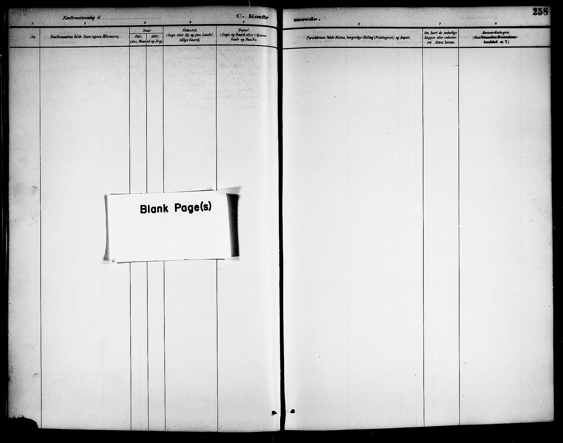 Ministerialprotokoller, klokkerbøker og fødselsregistre - Nordland, AV/SAT-A-1459/888/L1268: Parish register (copy) no. 888C06, 1891-1908, p. 258