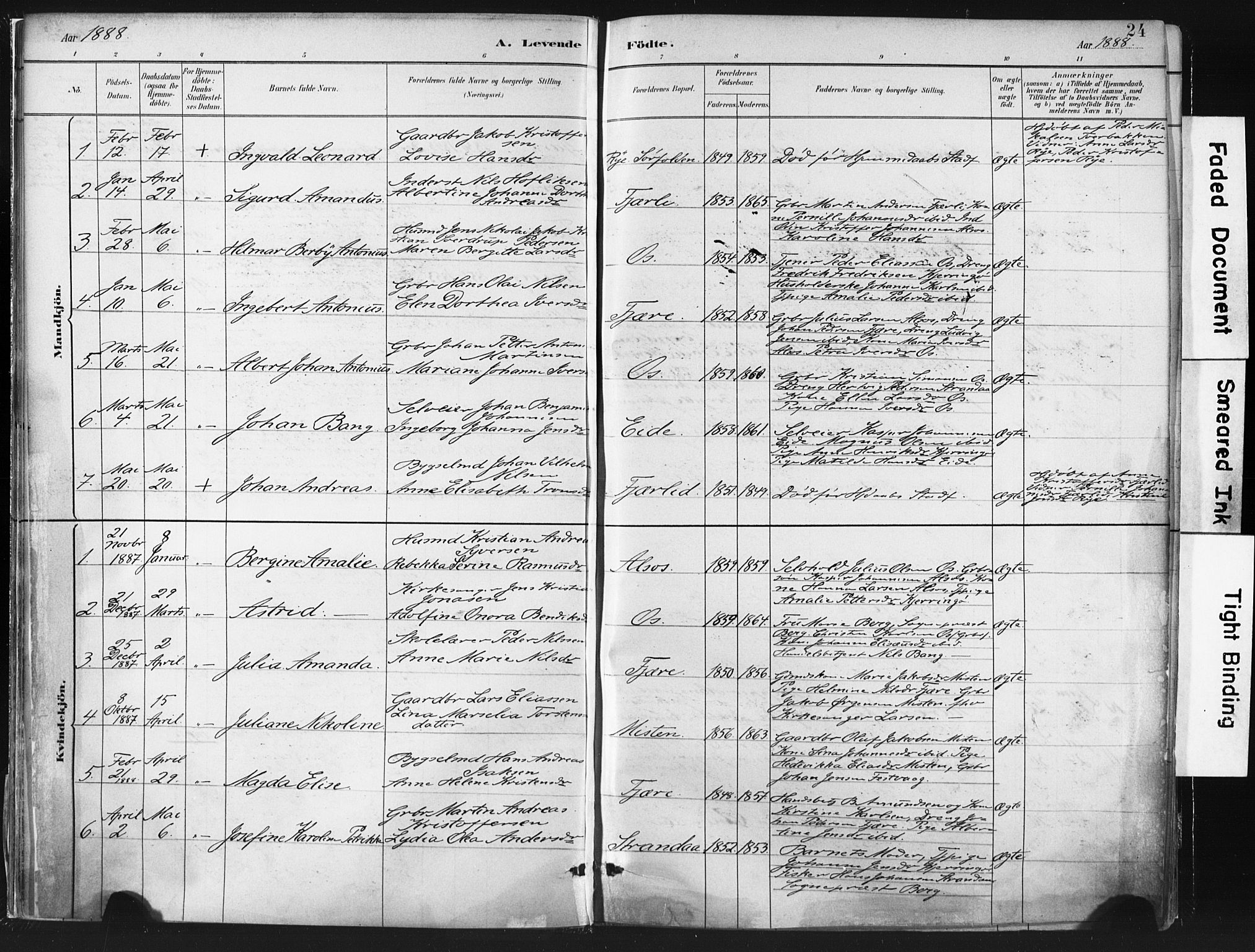 Ministerialprotokoller, klokkerbøker og fødselsregistre - Nordland, SAT/A-1459/803/L0071: Parish register (official) no. 803A01, 1881-1897, p. 24
