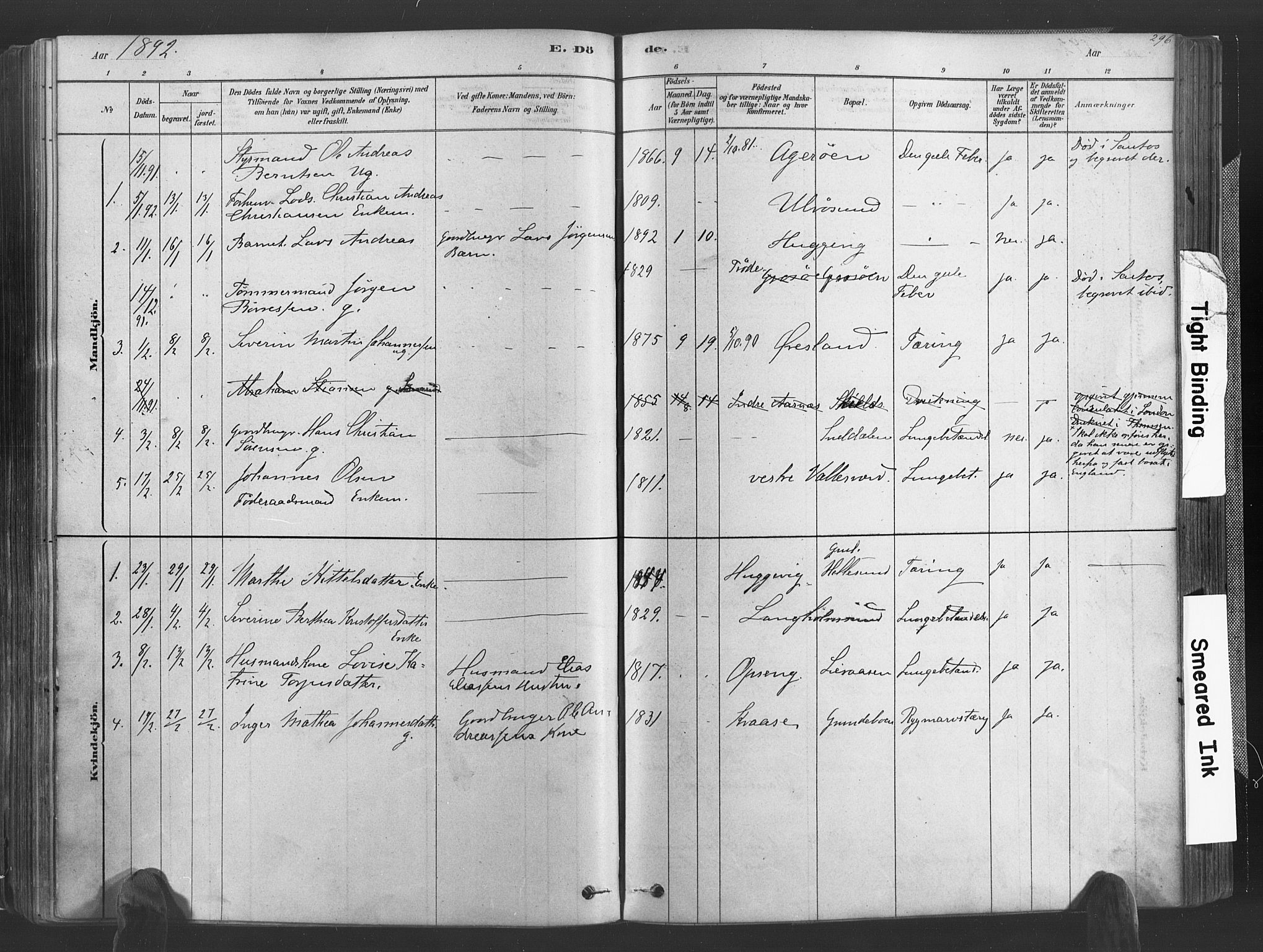 Høvåg sokneprestkontor, SAK/1111-0025/F/Fa/L0005: Parish register (official) no. A 5, 1878-1893, p. 296