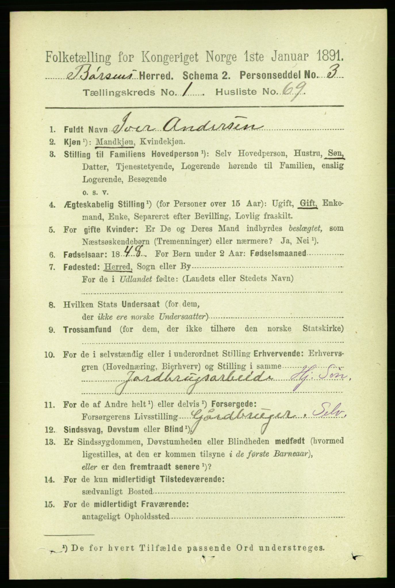 RA, 1891 census for 1658 Børsa, 1891, p. 447