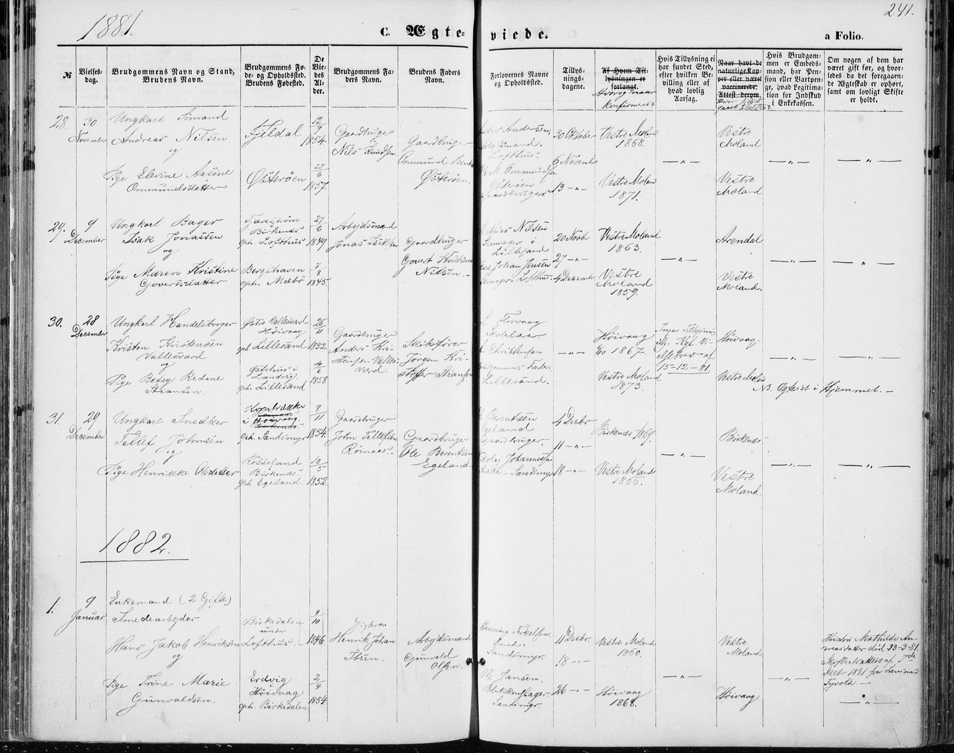 Vestre Moland sokneprestkontor, SAK/1111-0046/F/Fa/Fab/L0008: Parish register (official) no. A 8, 1873-1883, p. 241