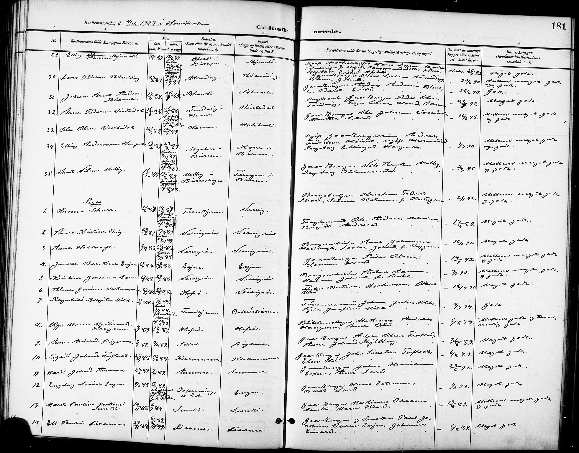 Ministerialprotokoller, klokkerbøker og fødselsregistre - Sør-Trøndelag, AV/SAT-A-1456/668/L0819: Parish register (copy) no. 668C08, 1899-1912, p. 181