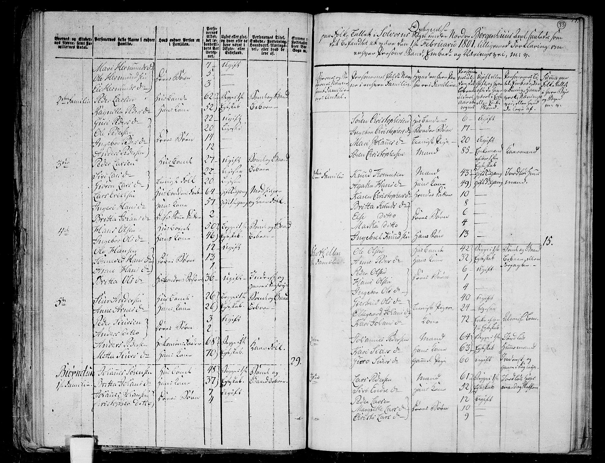 RA, 1801 census for 1425P Hafslo, 1801, p. 92b-93a