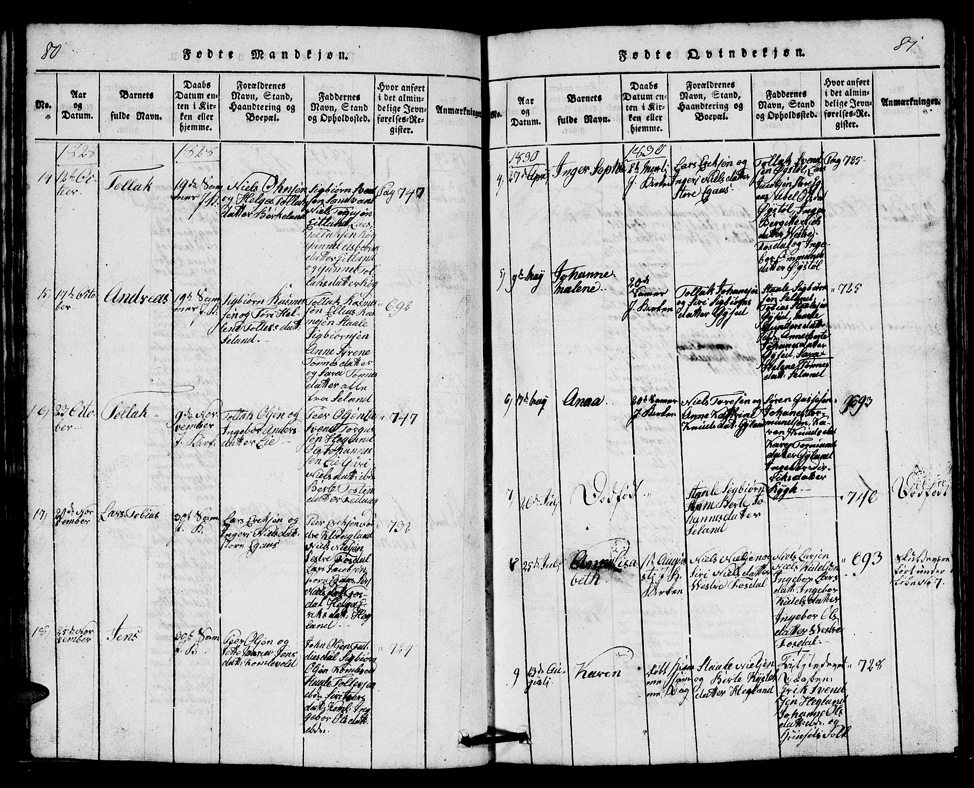 Bakke sokneprestkontor, AV/SAK-1111-0002/F/Fb/Fbb/L0001: Parish register (copy) no. B 1, 1815-1835, p. 80-81