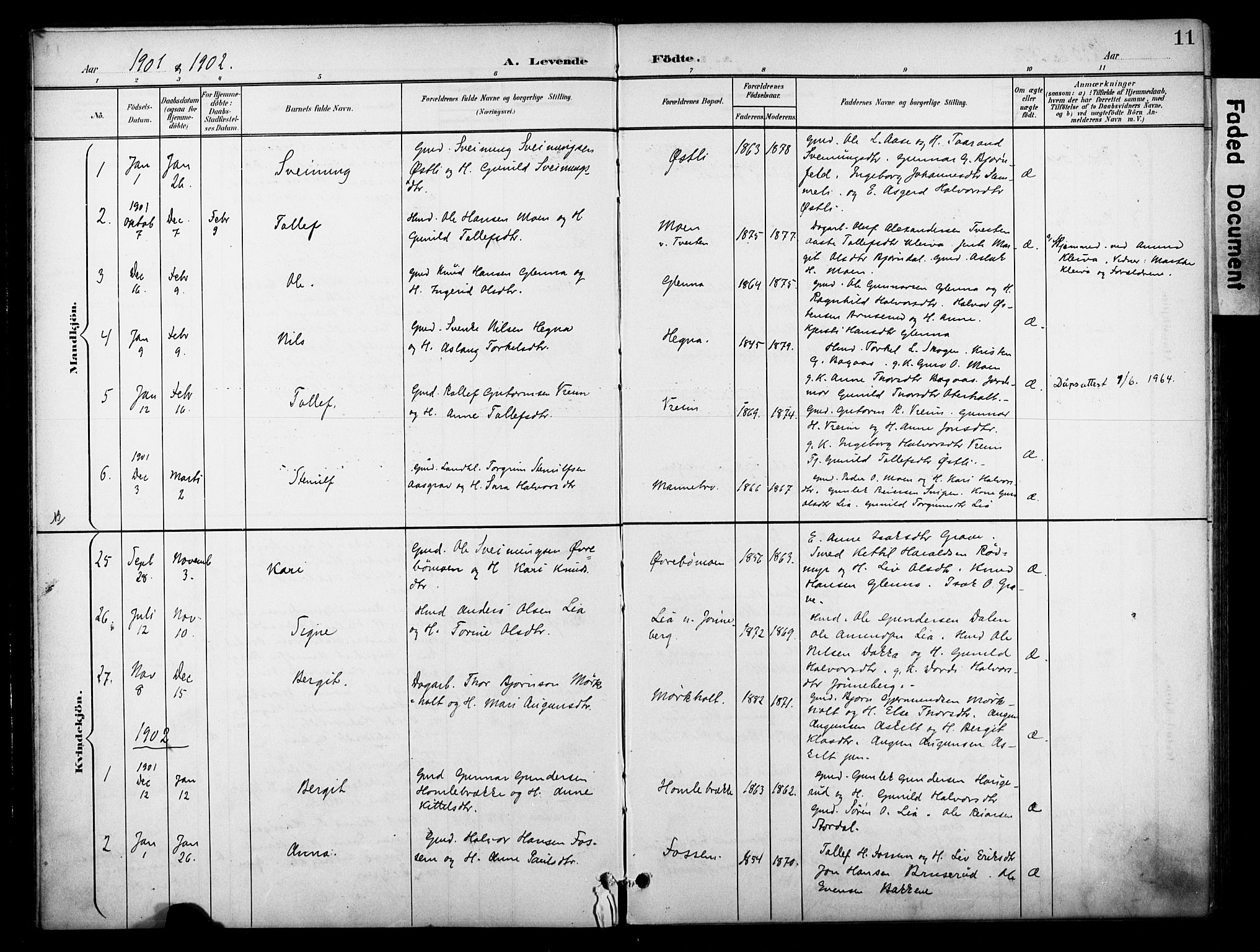 Bø kirkebøker, SAKO/A-257/F/Fa/L0012: Parish register (official) no. 12, 1900-1908, p. 11