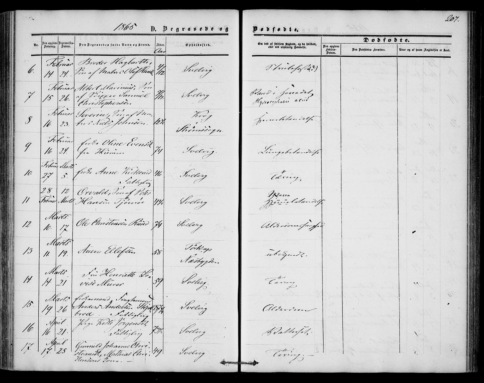 Strømm kirkebøker, AV/SAKO-A-322/F/Fa/L0001: Parish register (official) no. I 1, 1861-1869, p. 207