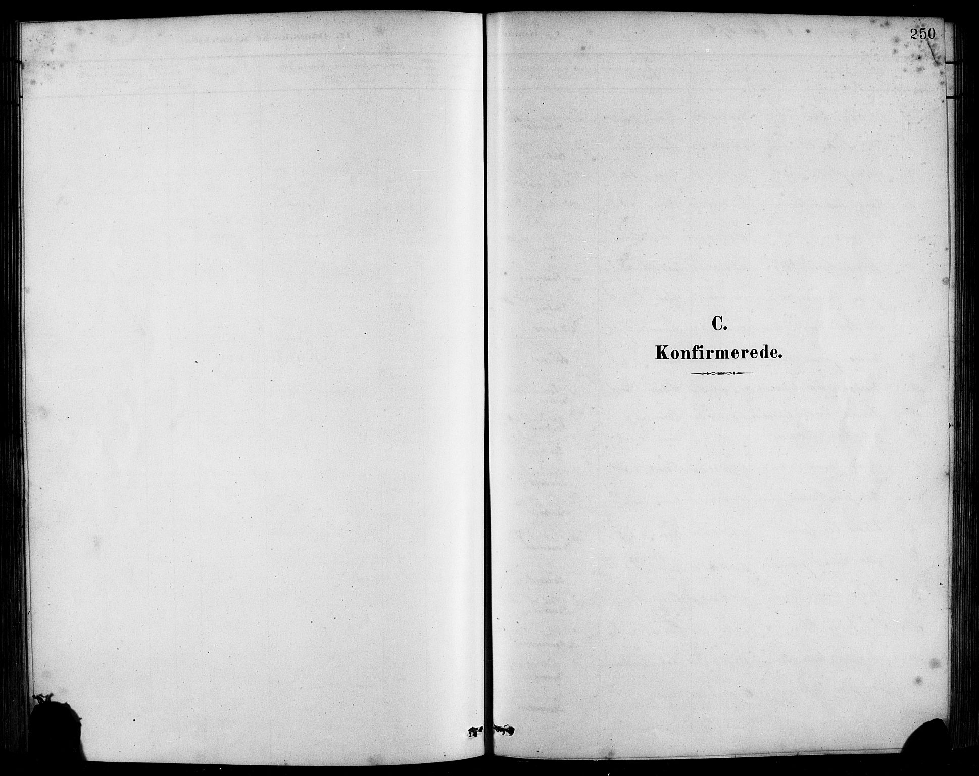Sandviken Sokneprestembete, SAB/A-77601/H/Hb/L0001: Parish register (copy) no. A 2, 1879-1892, p. 250