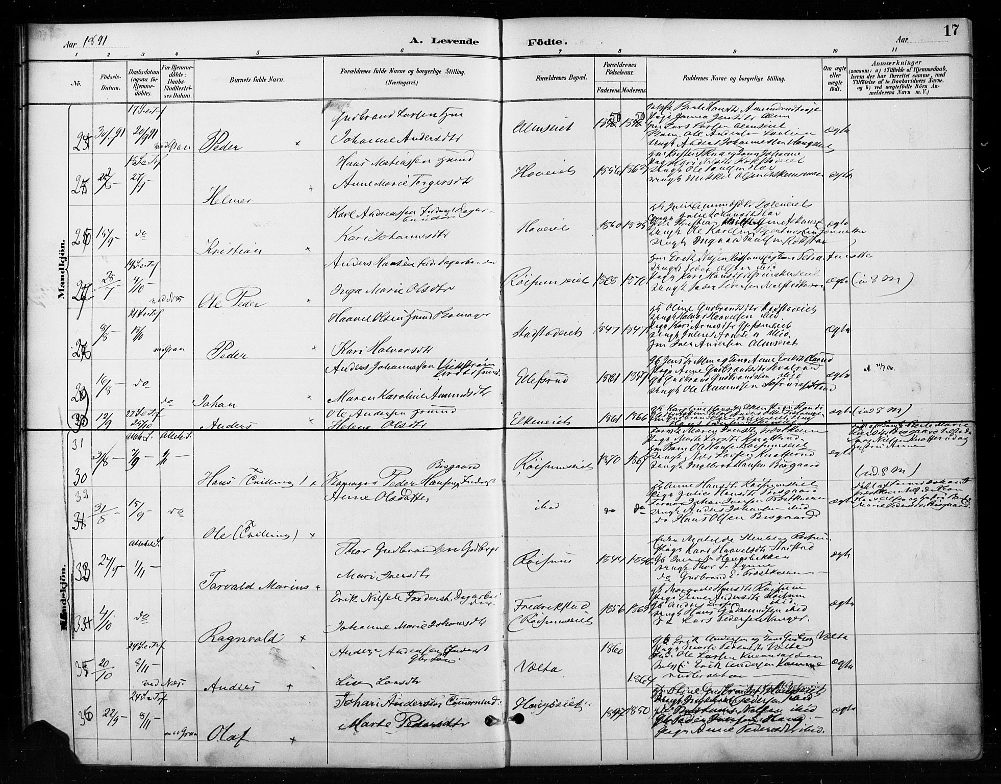 Gran prestekontor, SAH/PREST-112/H/Ha/Haa/L0018: Parish register (official) no. 18, 1889-1899, p. 17