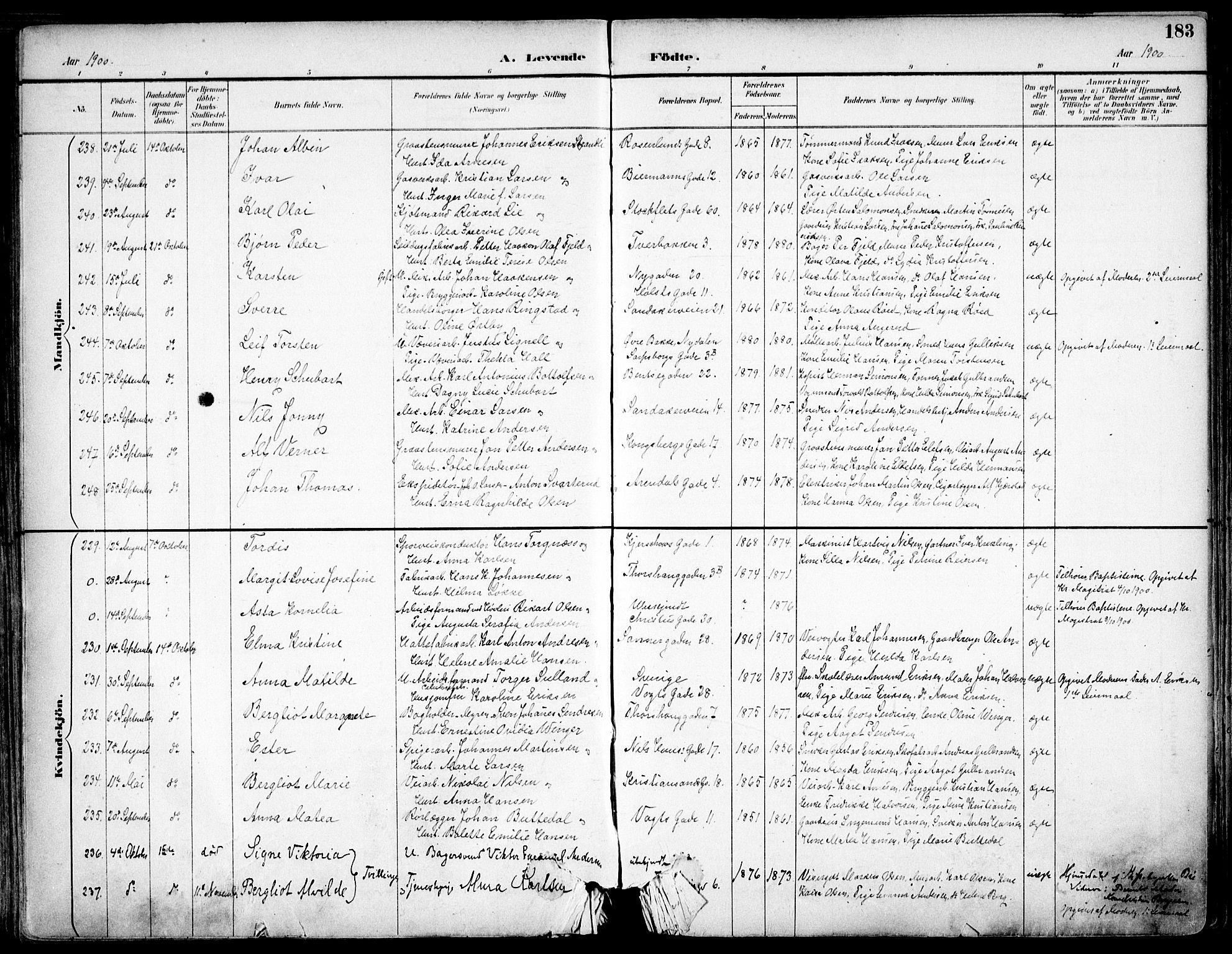 Sagene prestekontor Kirkebøker, SAO/A-10796/F/L0004: Parish register (official) no. 4, 1894-1904, p. 183