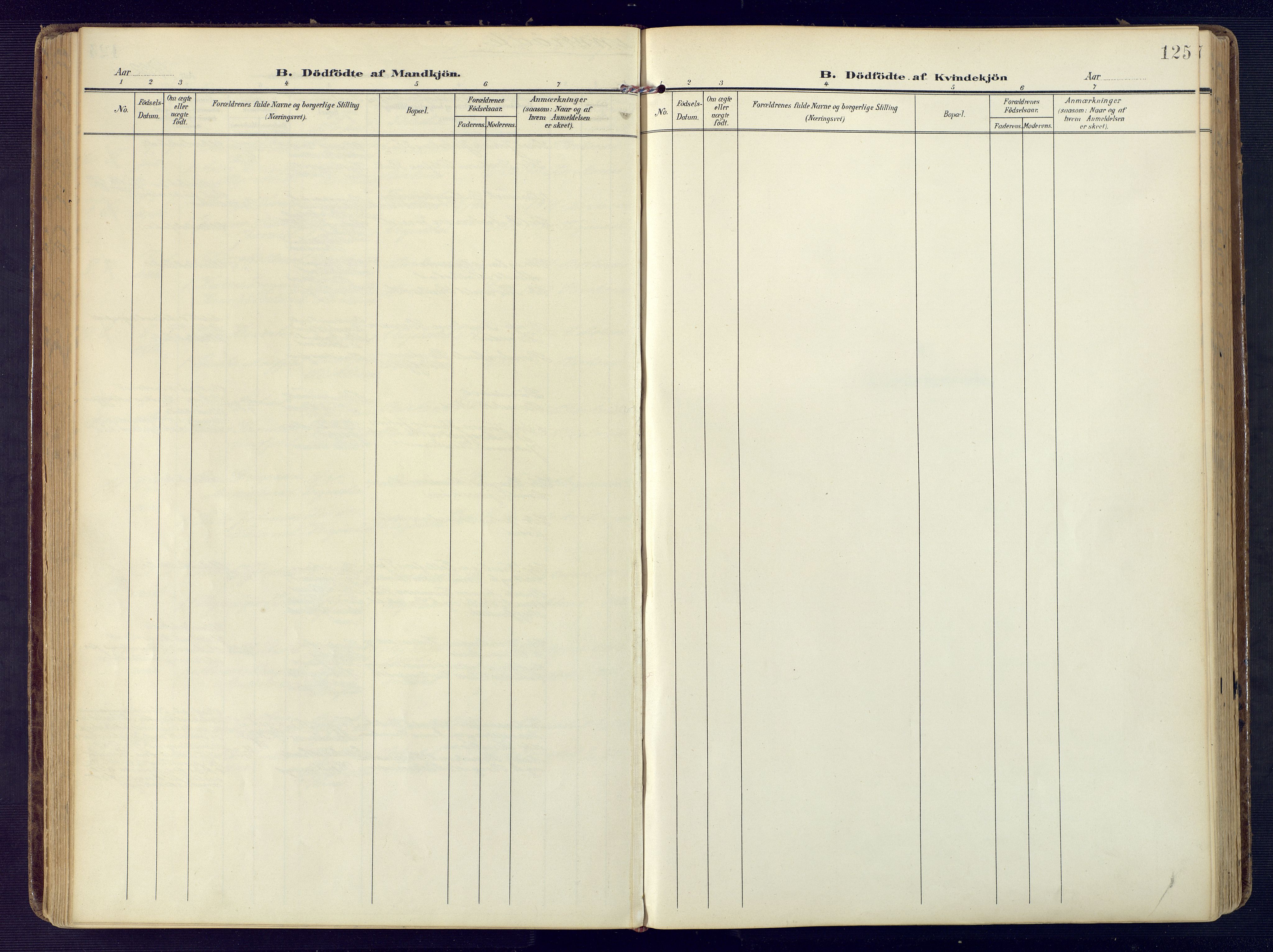 Birkenes sokneprestkontor, SAK/1111-0004/F/Fa/L0006: Parish register (official) no. A 6, 1908-1932, p. 125