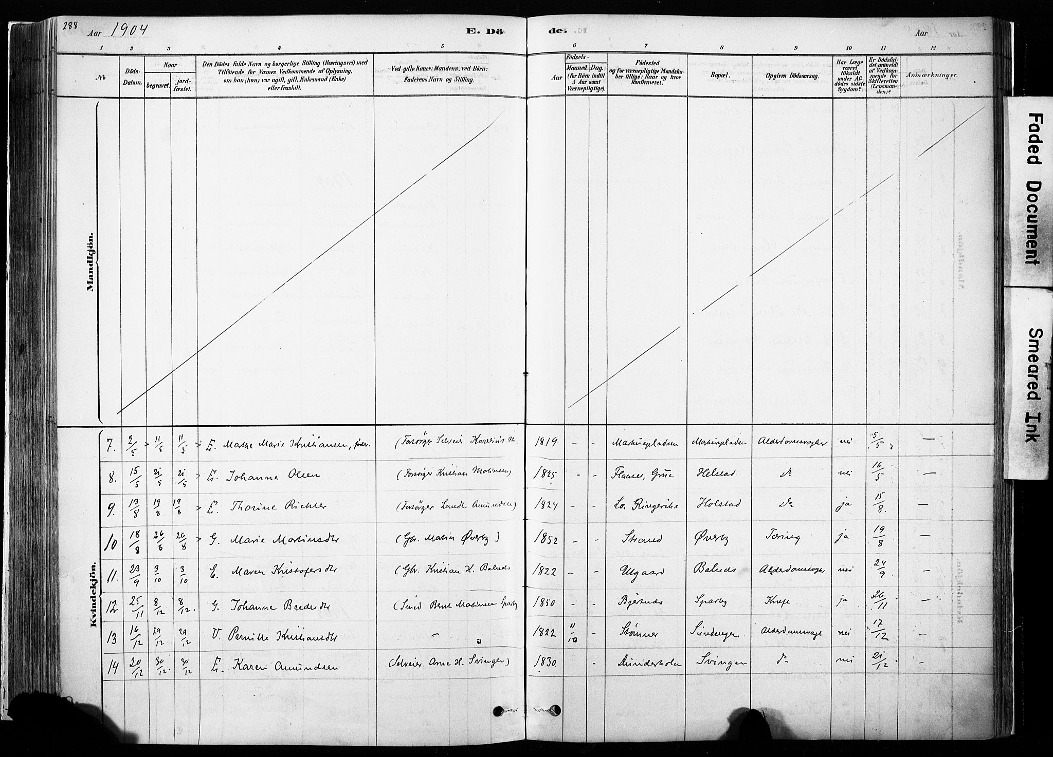 Hof prestekontor, SAH/PREST-038/H/Ha/Haa/L0010: Parish register (official) no. 10, 1878-1909, p. 288