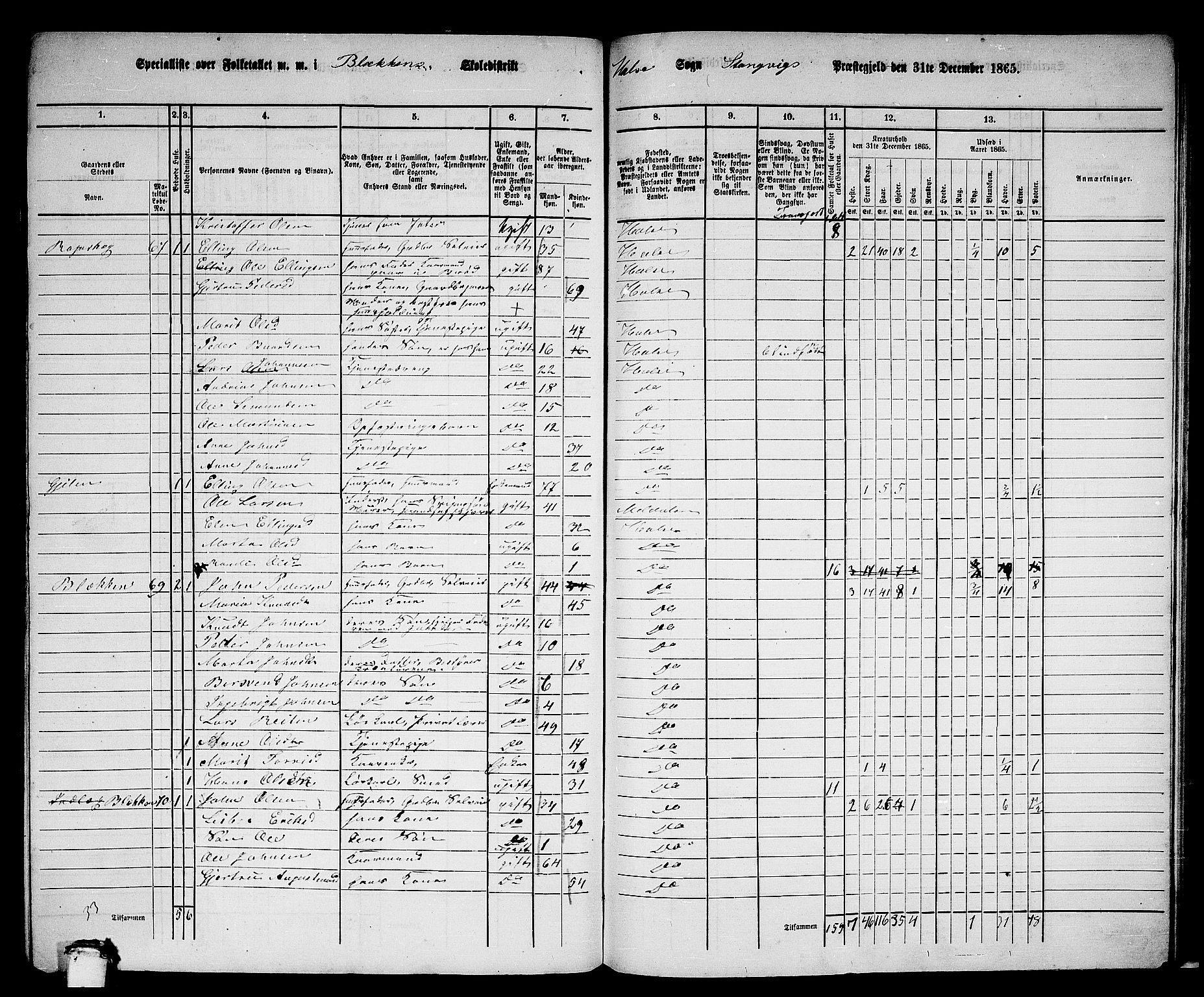 RA, 1865 census for Stangvik, 1865, p. 166