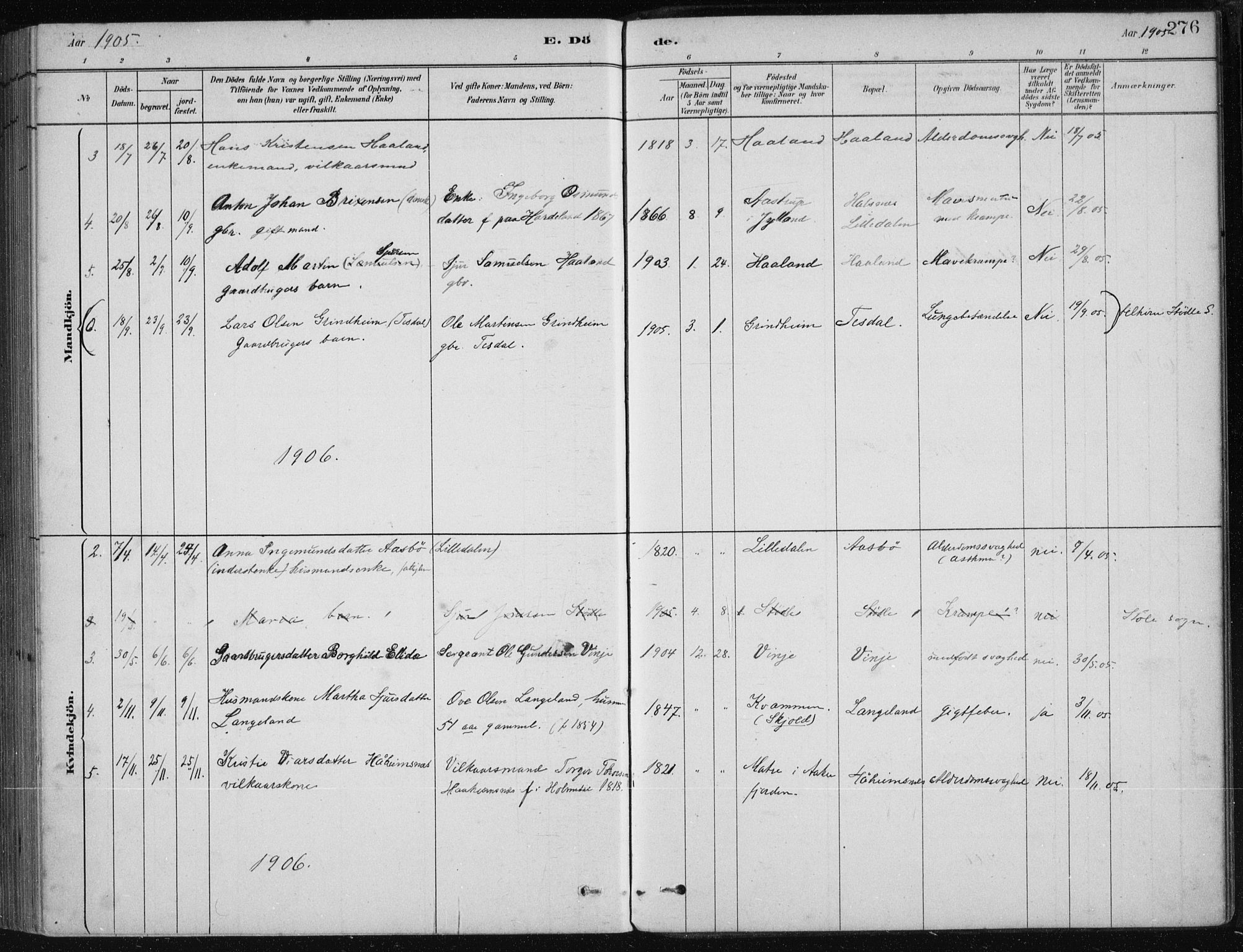 Etne sokneprestembete, AV/SAB-A-75001/H/Haa: Parish register (official) no. D  1, 1879-1919, p. 276