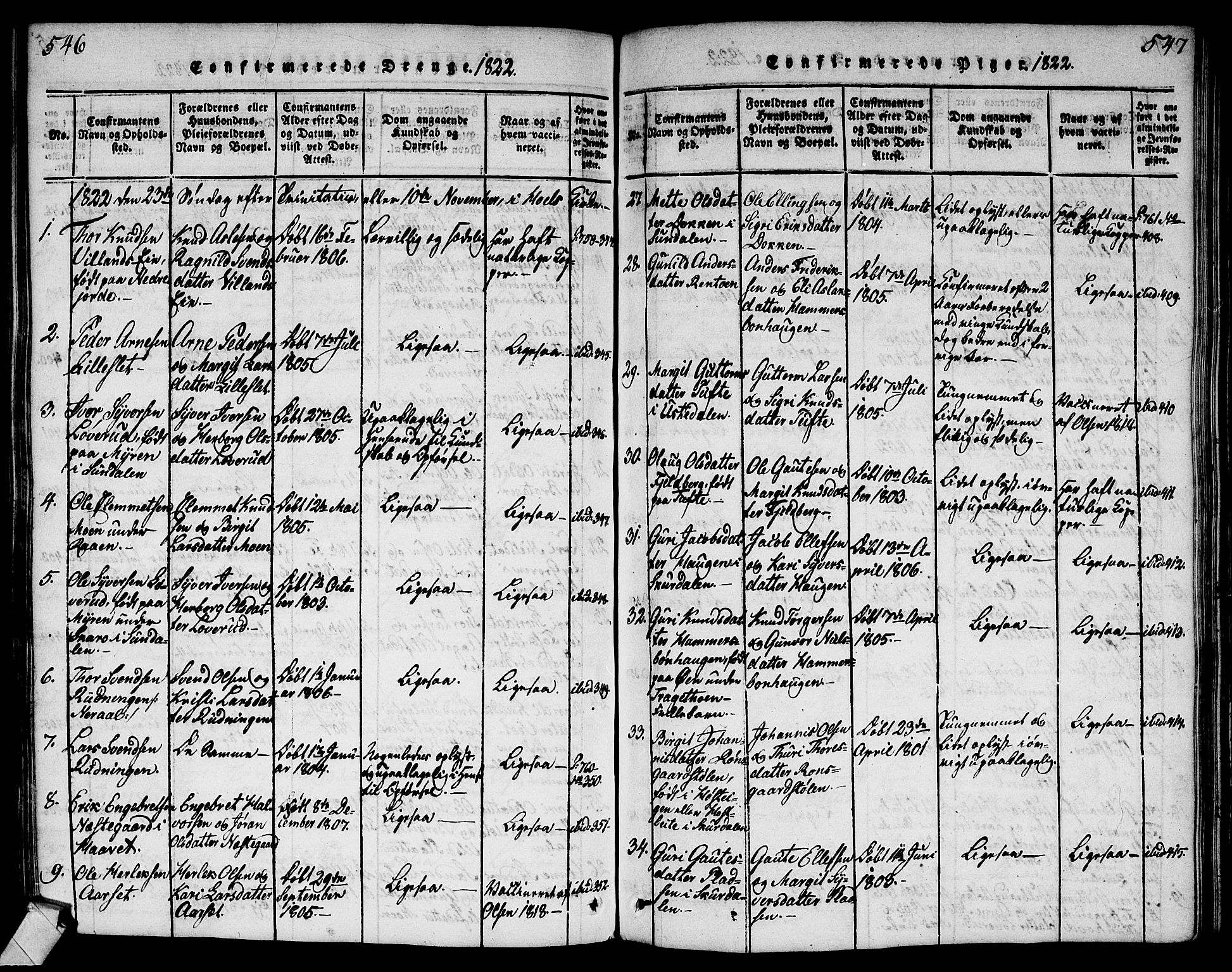 Ål kirkebøker, AV/SAKO-A-249/G/Ga/L0001: Parish register (copy) no. 1, 1815-1829, p. 546-547