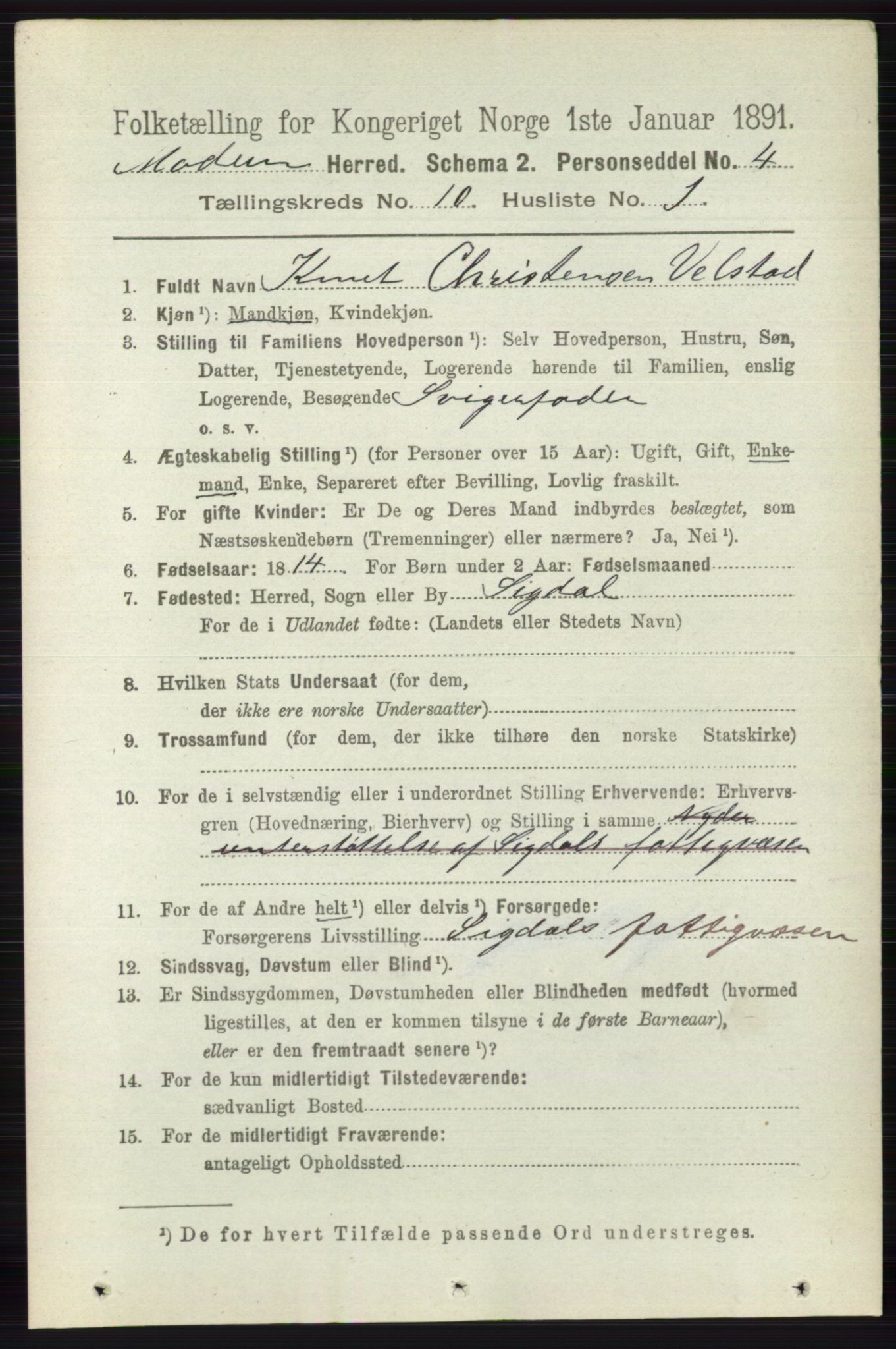 RA, 1891 census for 0623 Modum, 1891, p. 3974