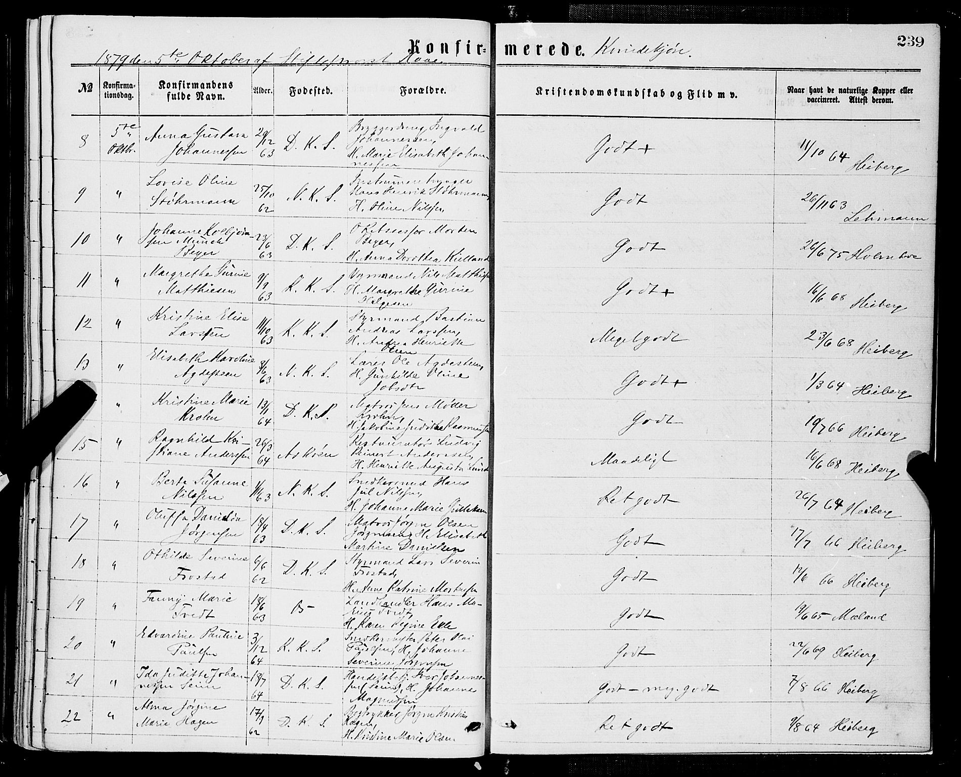 Domkirken sokneprestembete, SAB/A-74801/H/Haa/L0029: Parish register (official) no. C 4, 1864-1879, p. 239