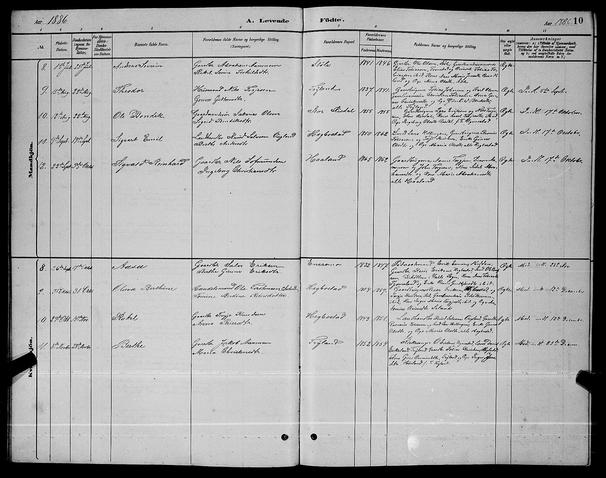 Nord-Audnedal sokneprestkontor, AV/SAK-1111-0032/F/Fb/Fbb/L0003: Parish register (copy) no. B 3, 1882-1900, p. 10