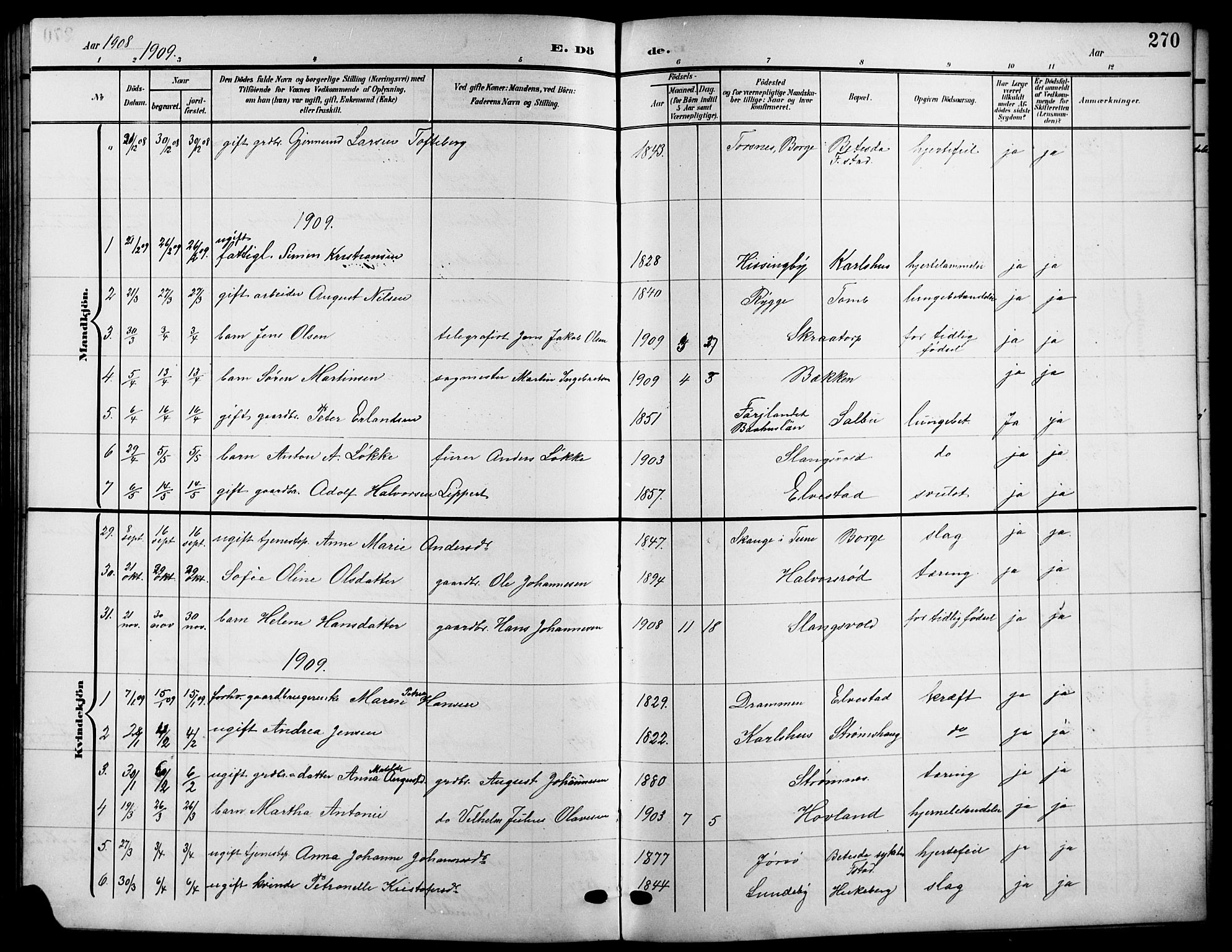 Råde prestekontor kirkebøker, AV/SAO-A-2009/G/Ga/L0001: Parish register (copy) no. 1, 1903-1925, p. 270