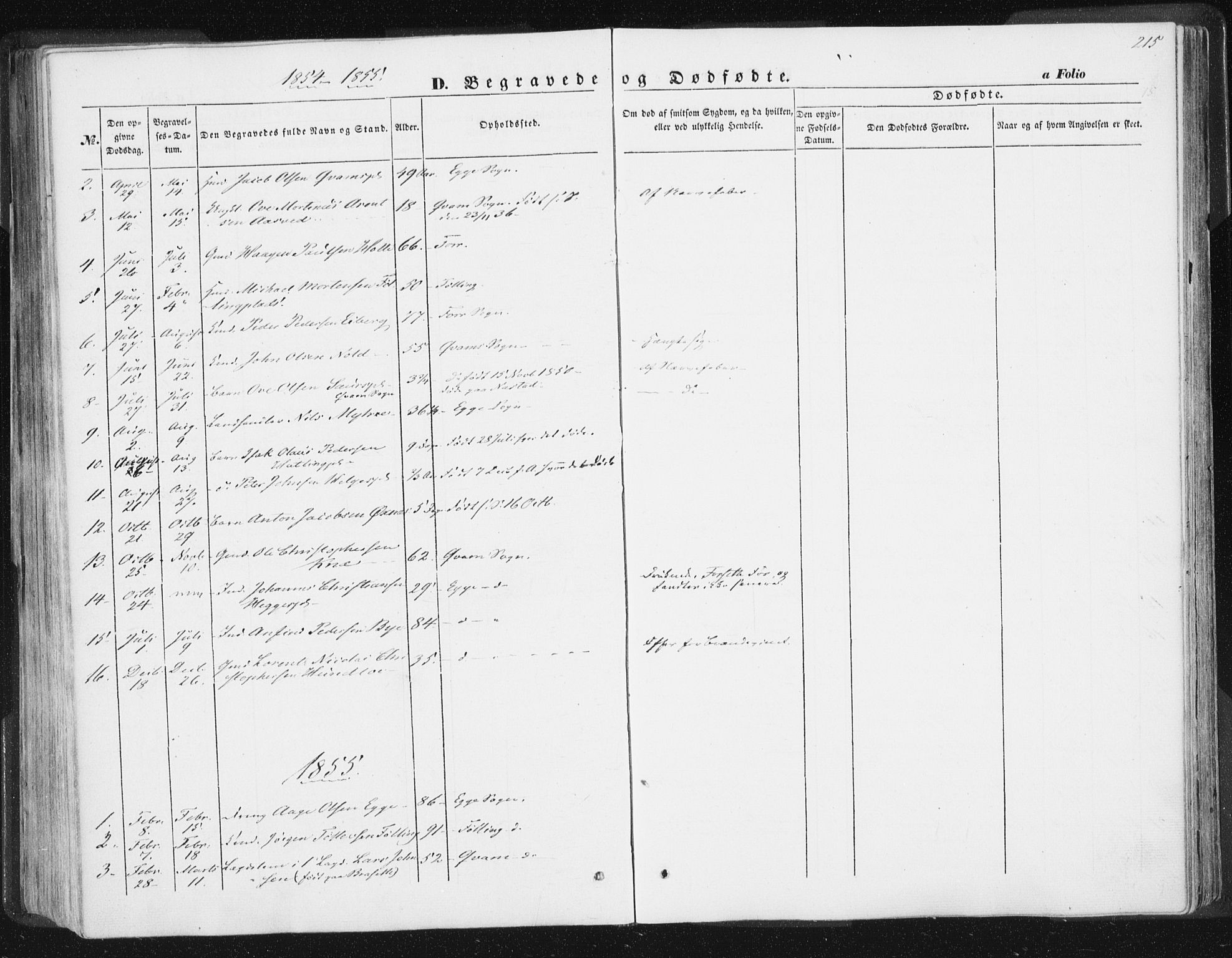 Ministerialprotokoller, klokkerbøker og fødselsregistre - Nord-Trøndelag, SAT/A-1458/746/L0446: Parish register (official) no. 746A05, 1846-1859, p. 215