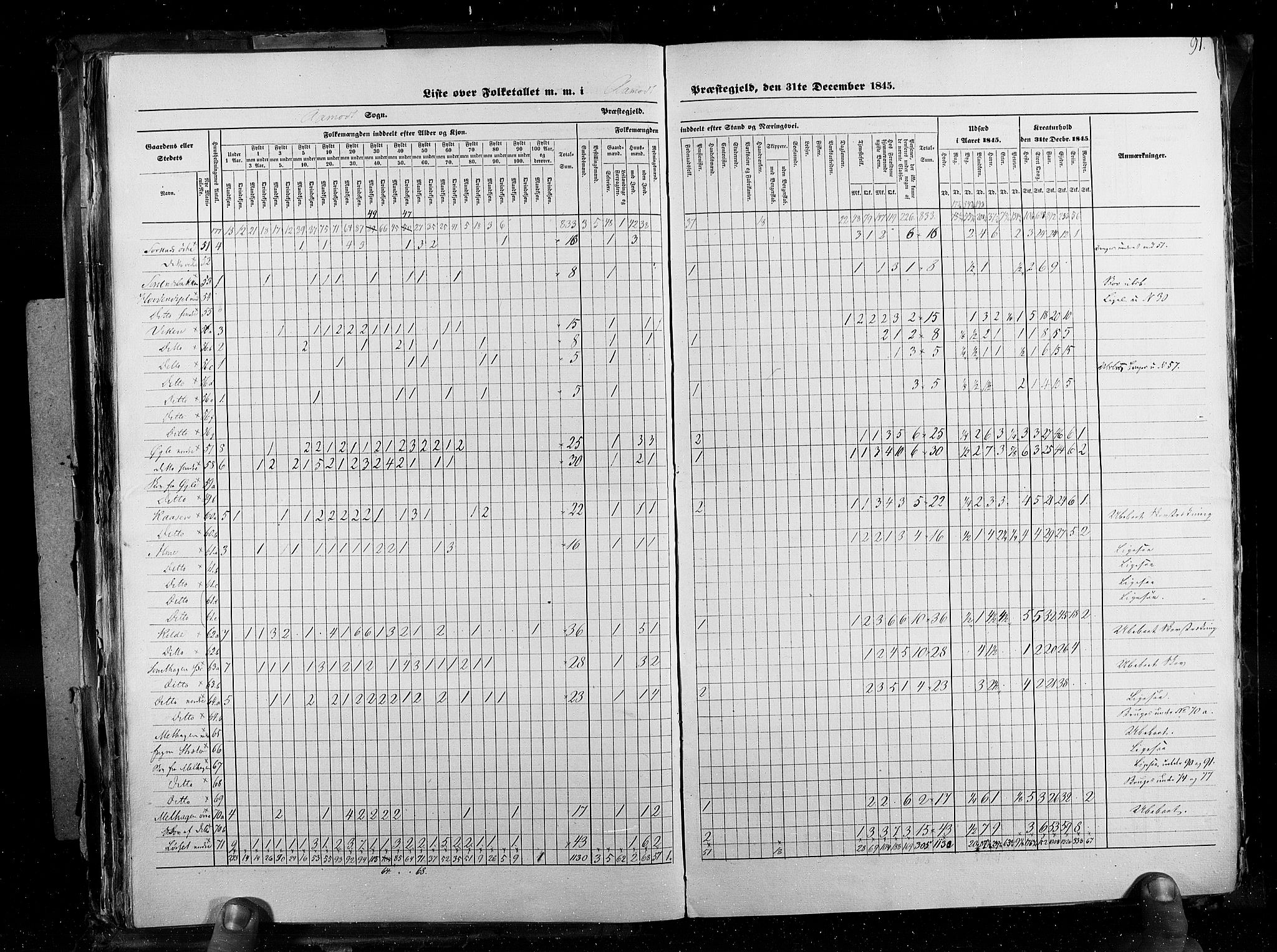 RA, Census 1845, vol. 3: Hedemarken amt og Kristians amt, 1845, p. 91