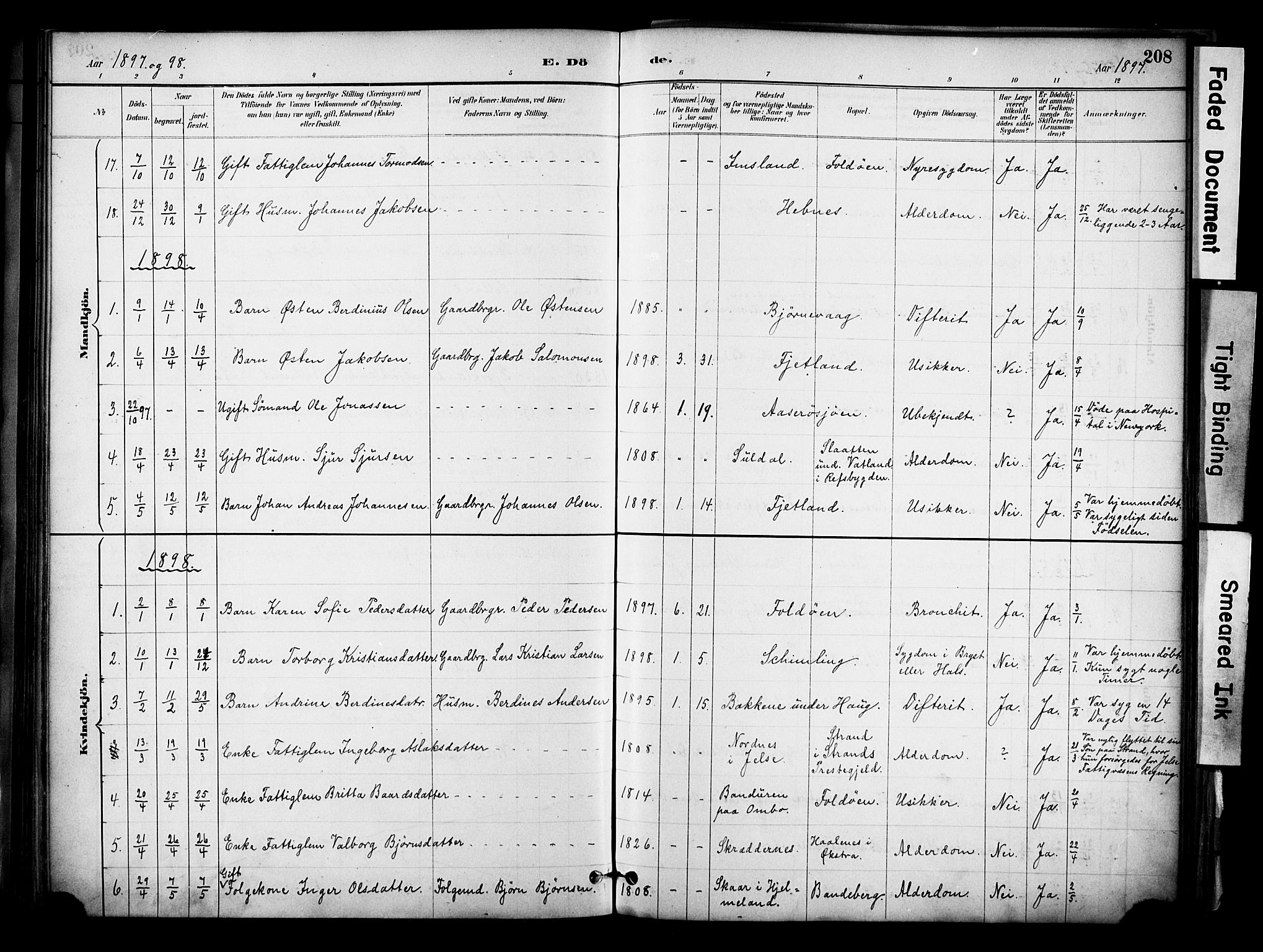 Jelsa sokneprestkontor, SAST/A-101842/01/IV: Parish register (official) no. A 10, 1884-1906, p. 208